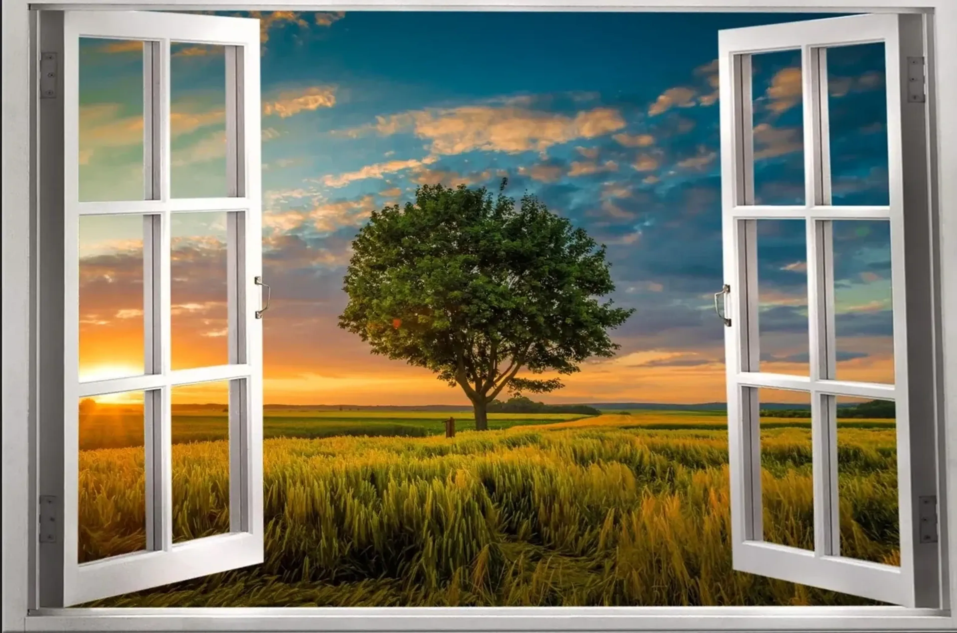 Offene weiße Fensterflügel geben den Blick auf einen einzelnen Baum im Feld bei tief stehender Sonne frei.
