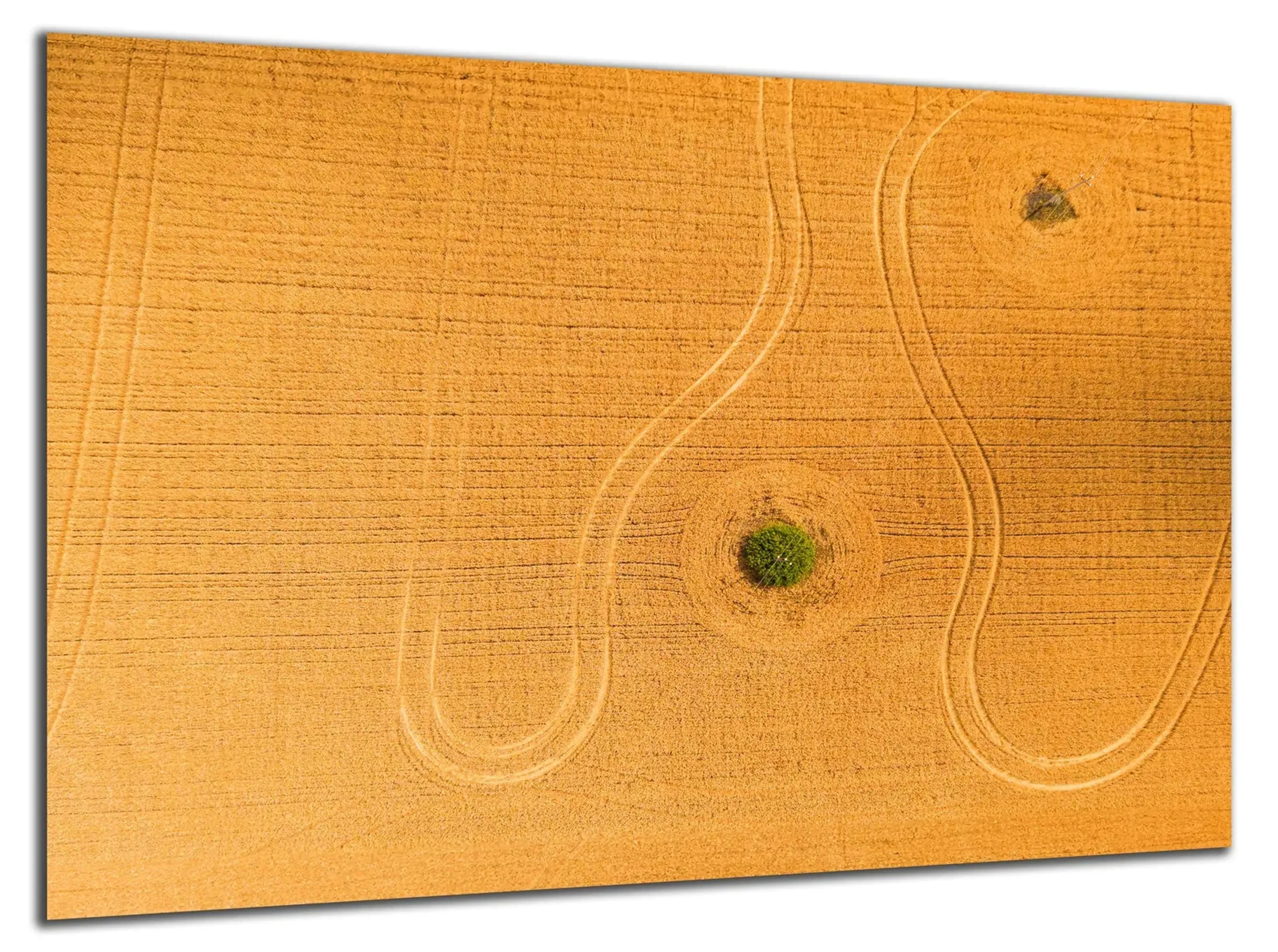 Weizenfeld von oben – Ansicht 5