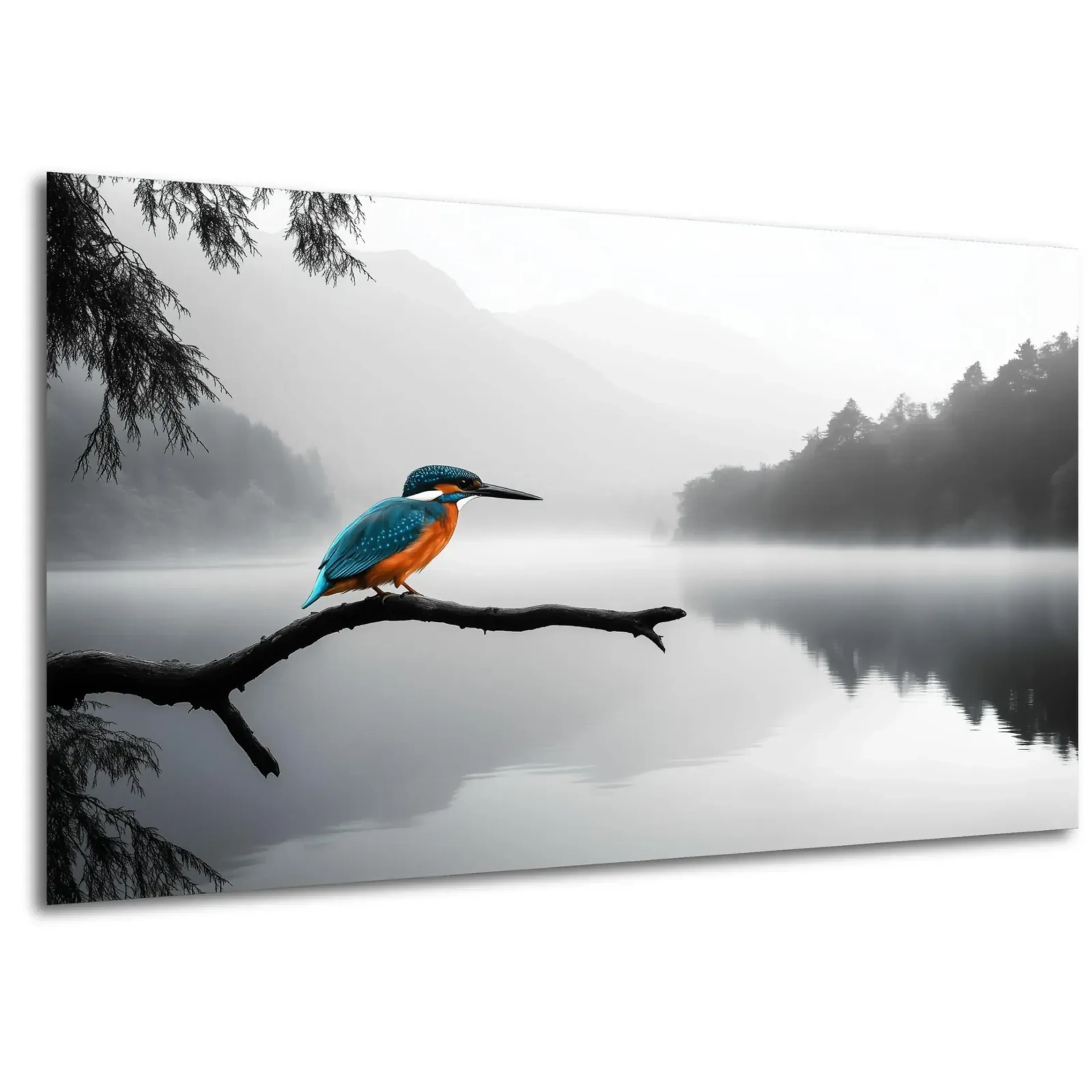 Eisvogel am See
