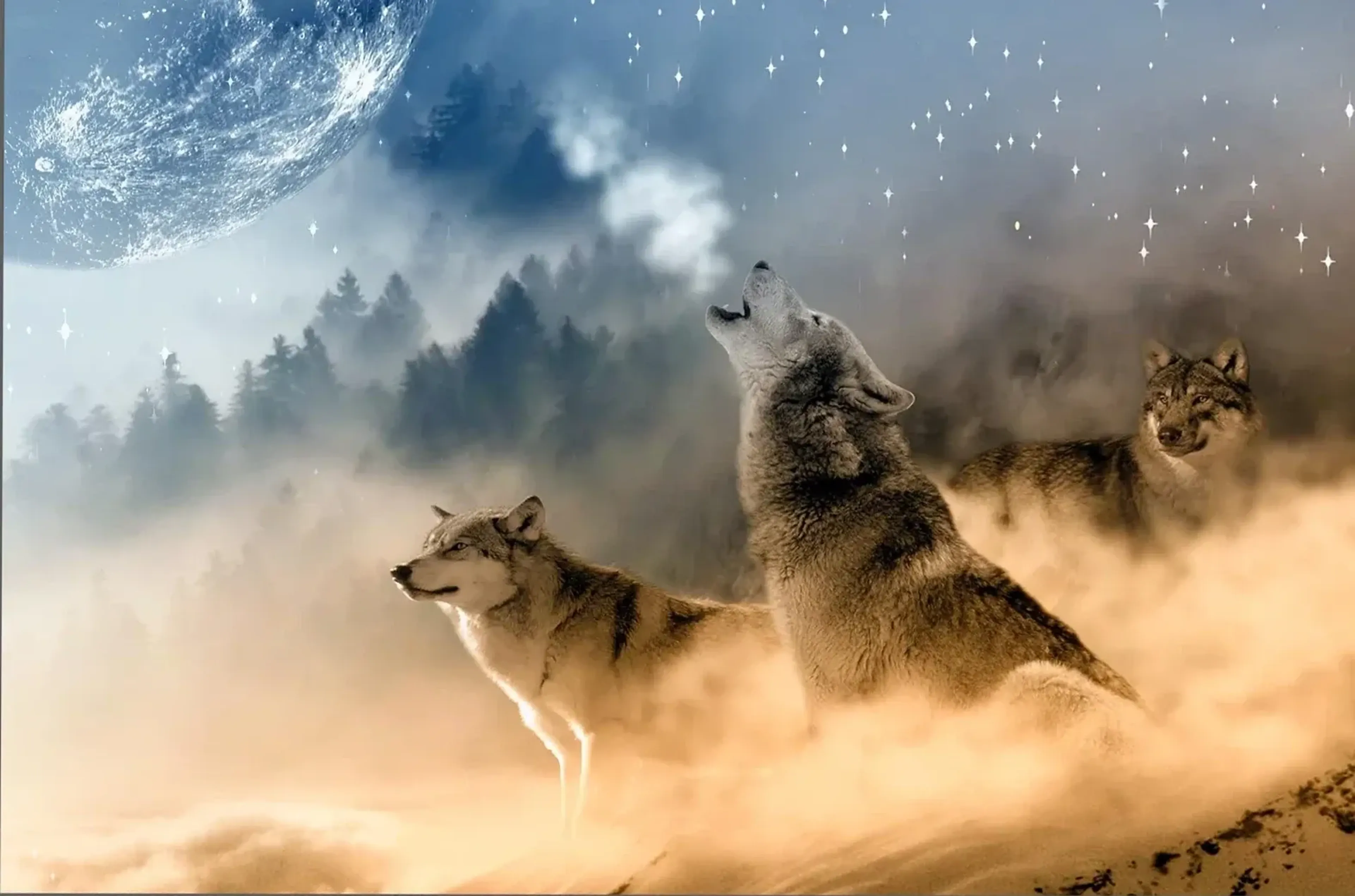 Drei Wölfe im goldenen Nebel vor Waldhängen unter großem Mond und Sternen; der mittlere Wolf heult.