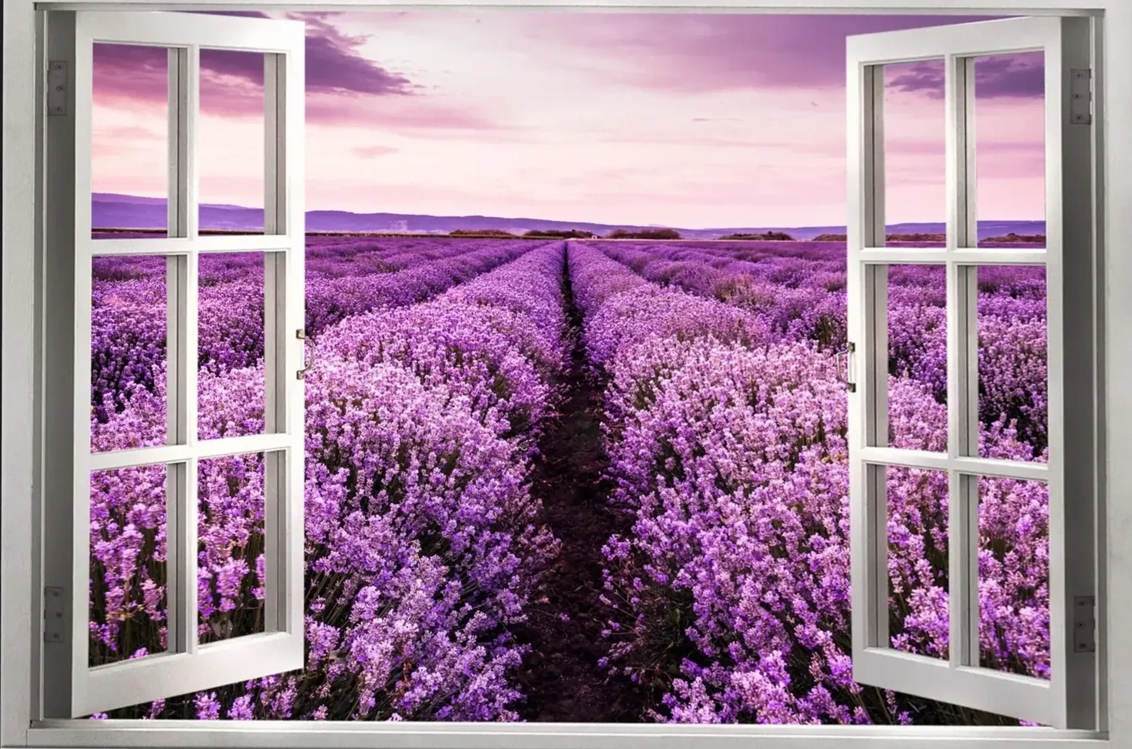 Geöffnete weiße Fensterflügel rahmen violette Lavendelreihen unter einem rosafarbenen Himmel.