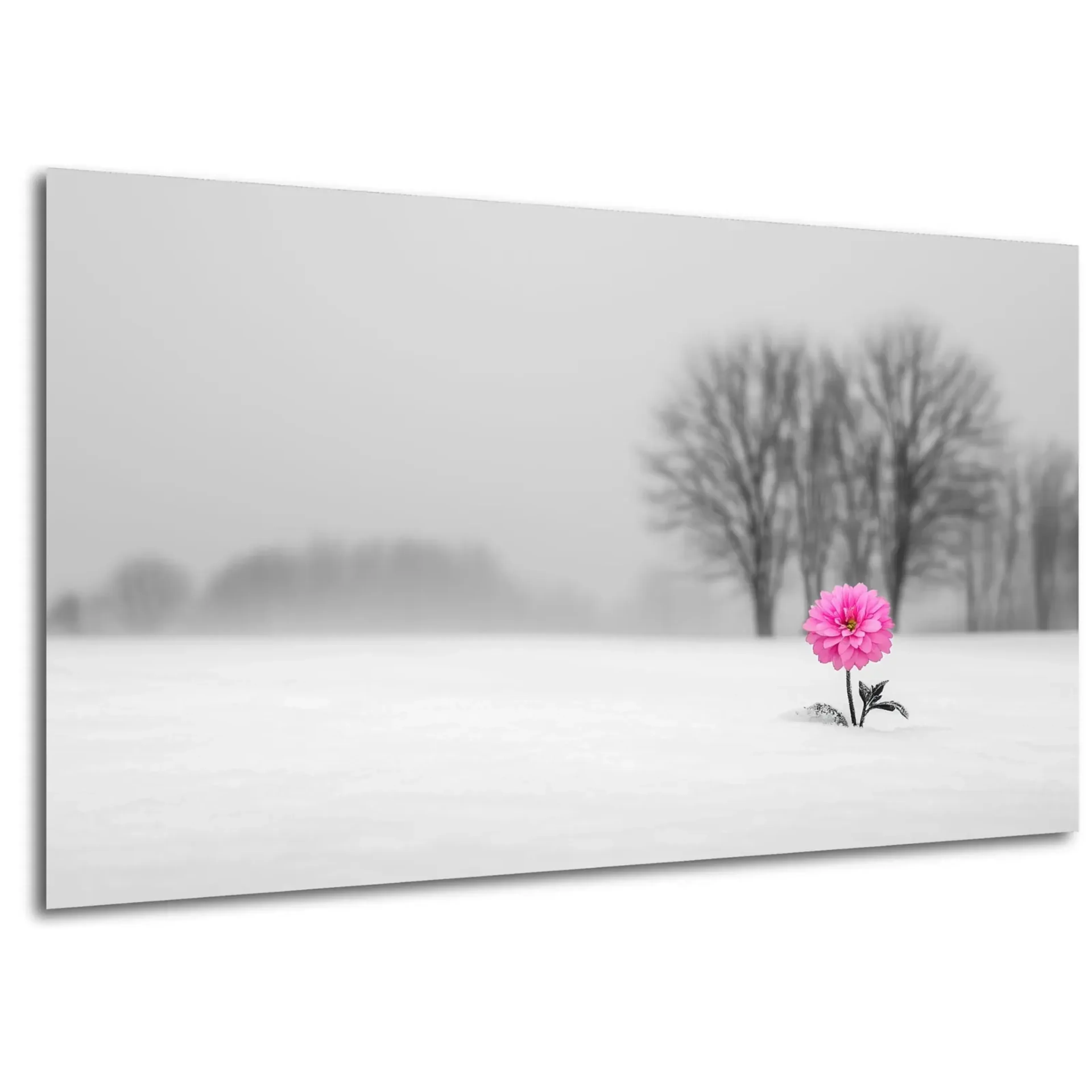 Winterpink im Schnee – Ansicht 5