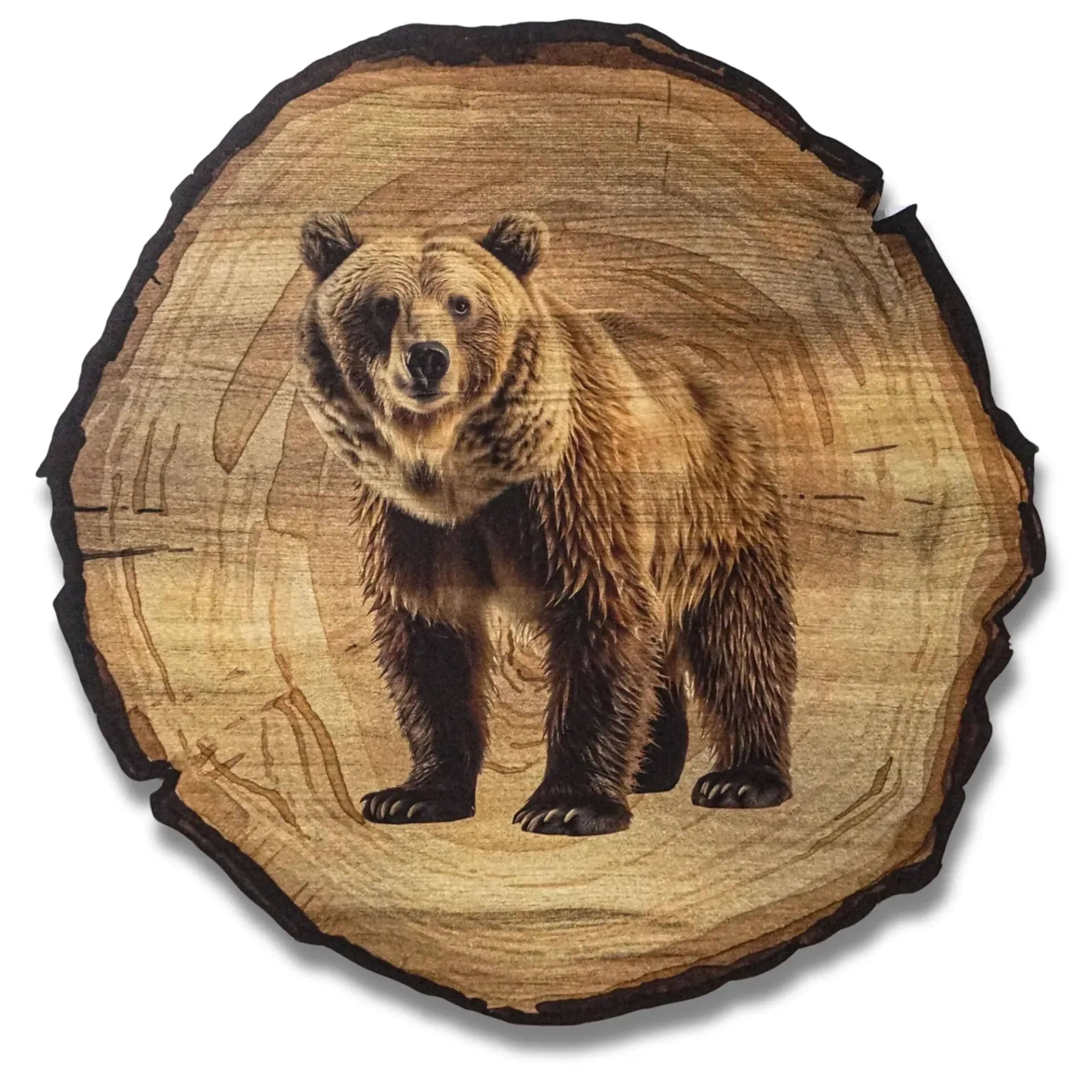 Braunbär mit ruhigem Blick – Ansicht 5