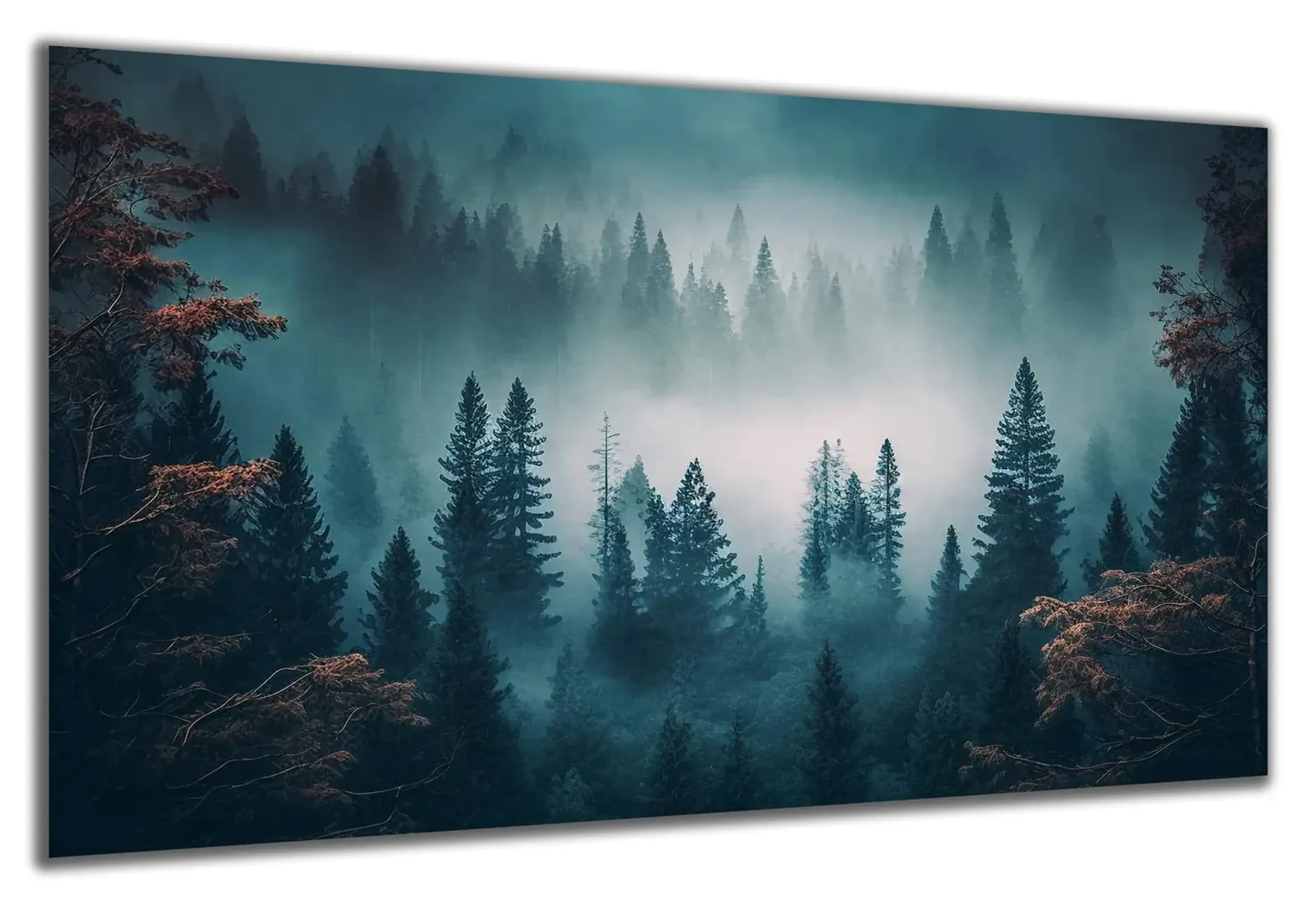 Nadelwald im Nebel – Ansicht 5
