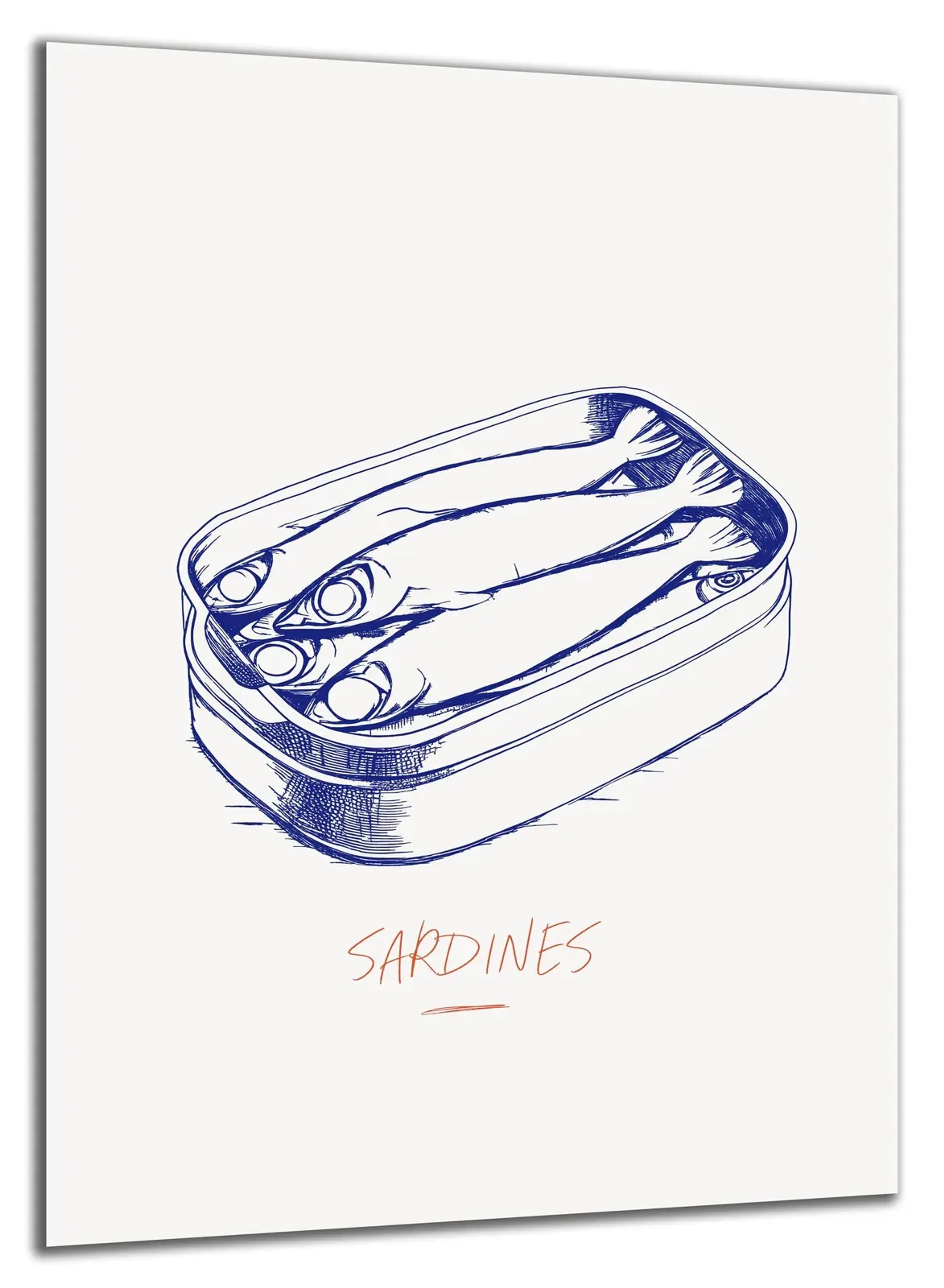 Sardinen in der Dose – Ansicht 5