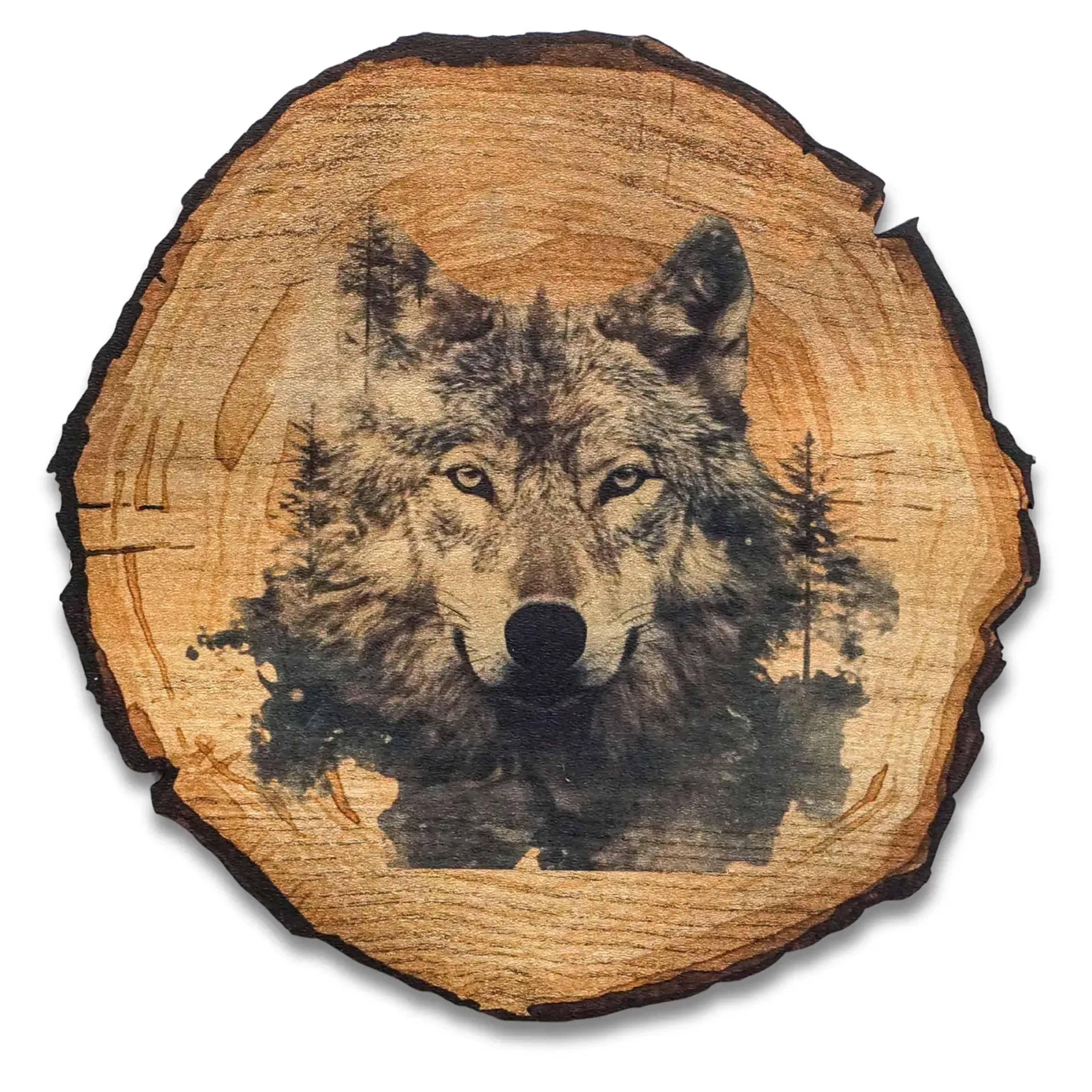Wolf im Wald – Ansicht 5
