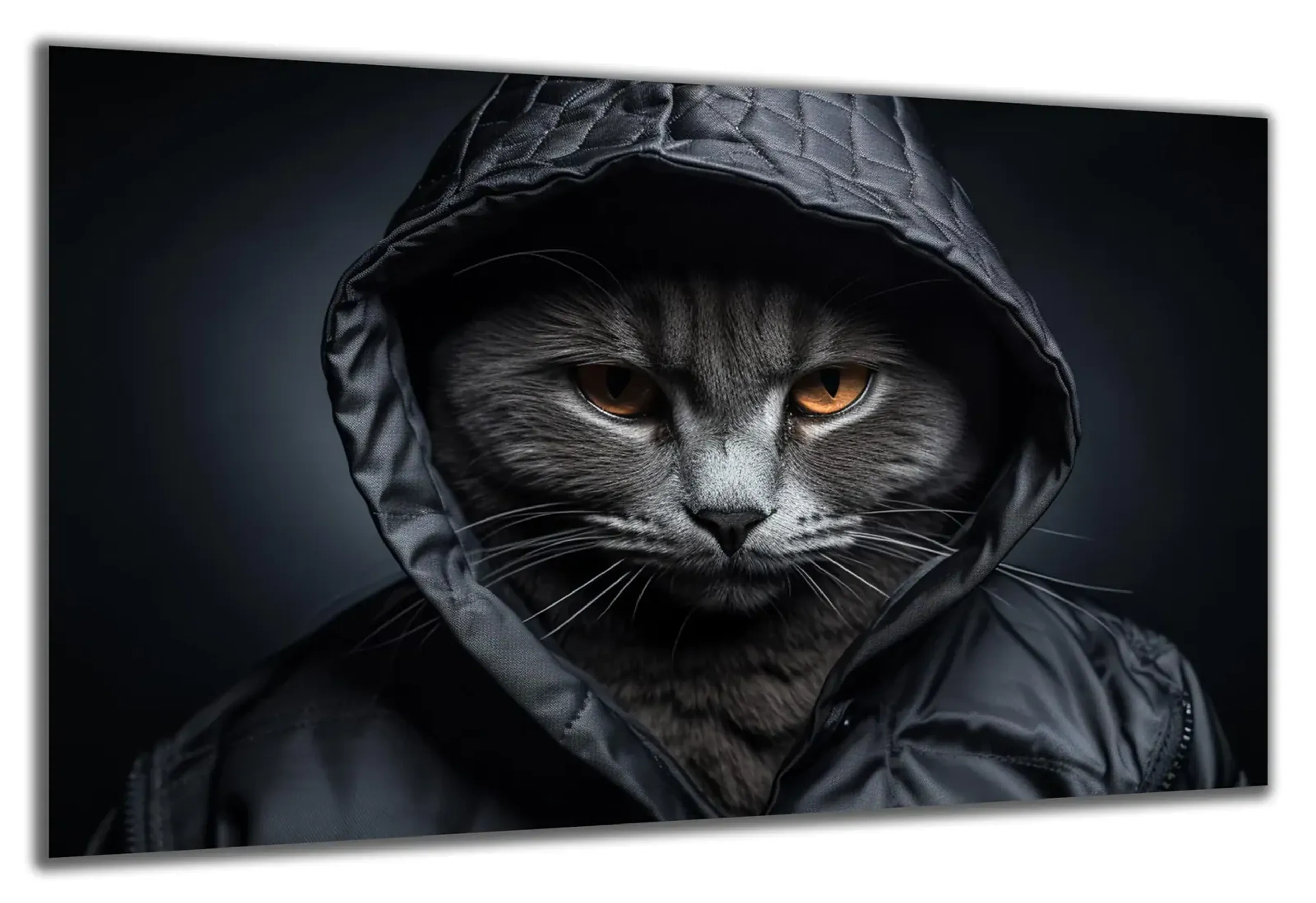 Coole Katze mit Kapuze – Ansicht 5