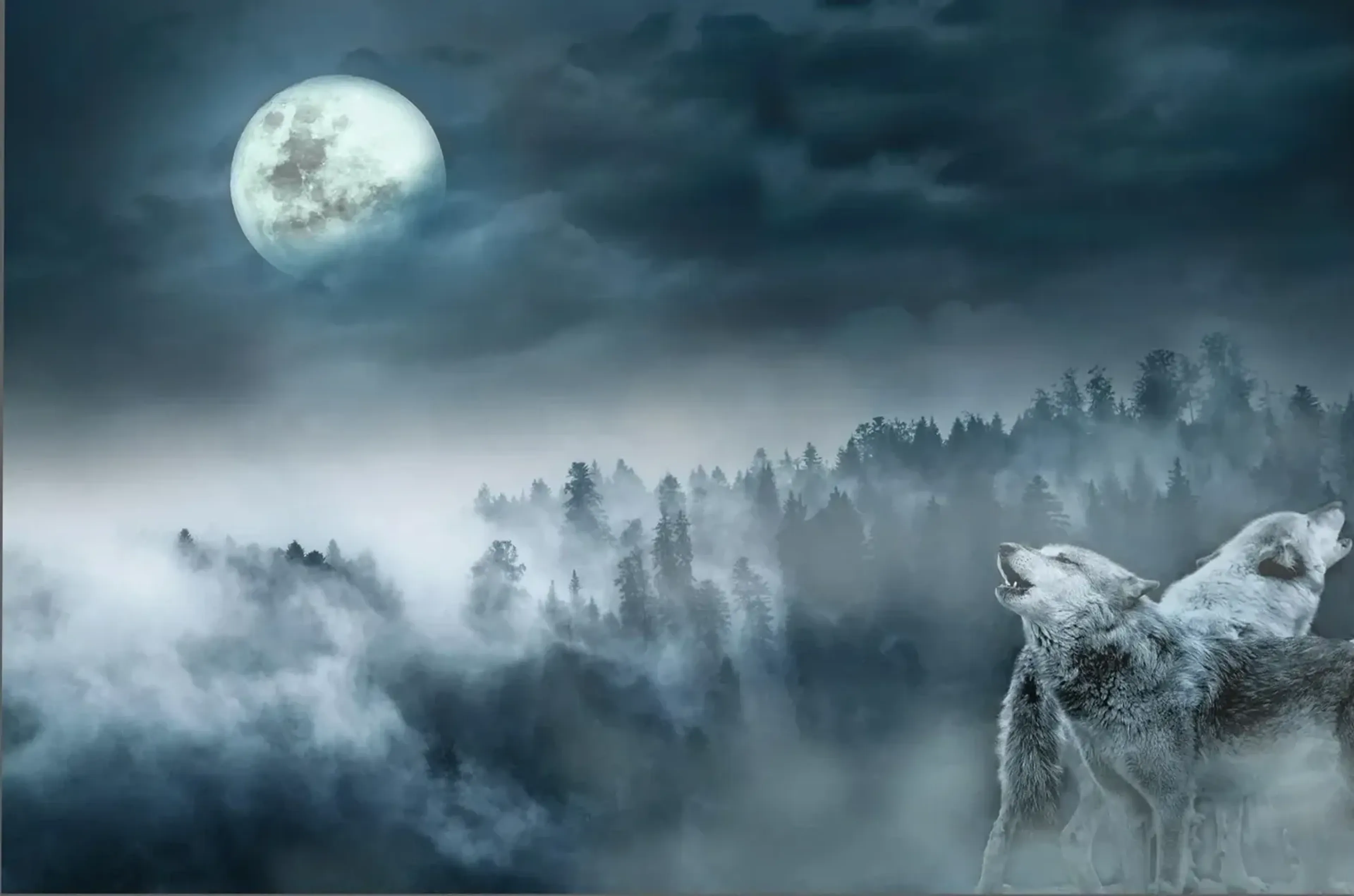 Zwei heulende Wölfe unten rechts vor nebligen Waldhügeln unter einem hellen Mond und dunklen Wolken.