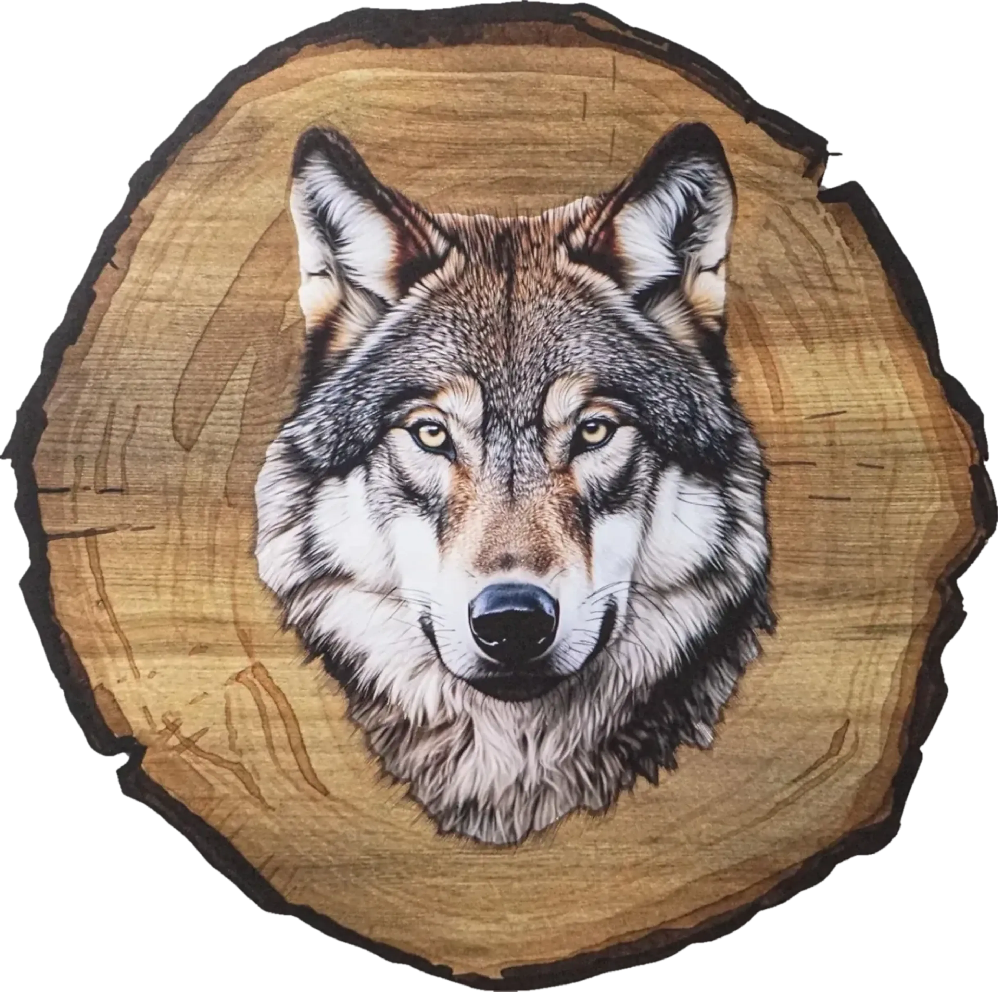 Wolfsporträt mit weißen Wangen, graubraunem Fell und gelblichen Augen auf einem Hintergrund in Baumscheibenoptik.