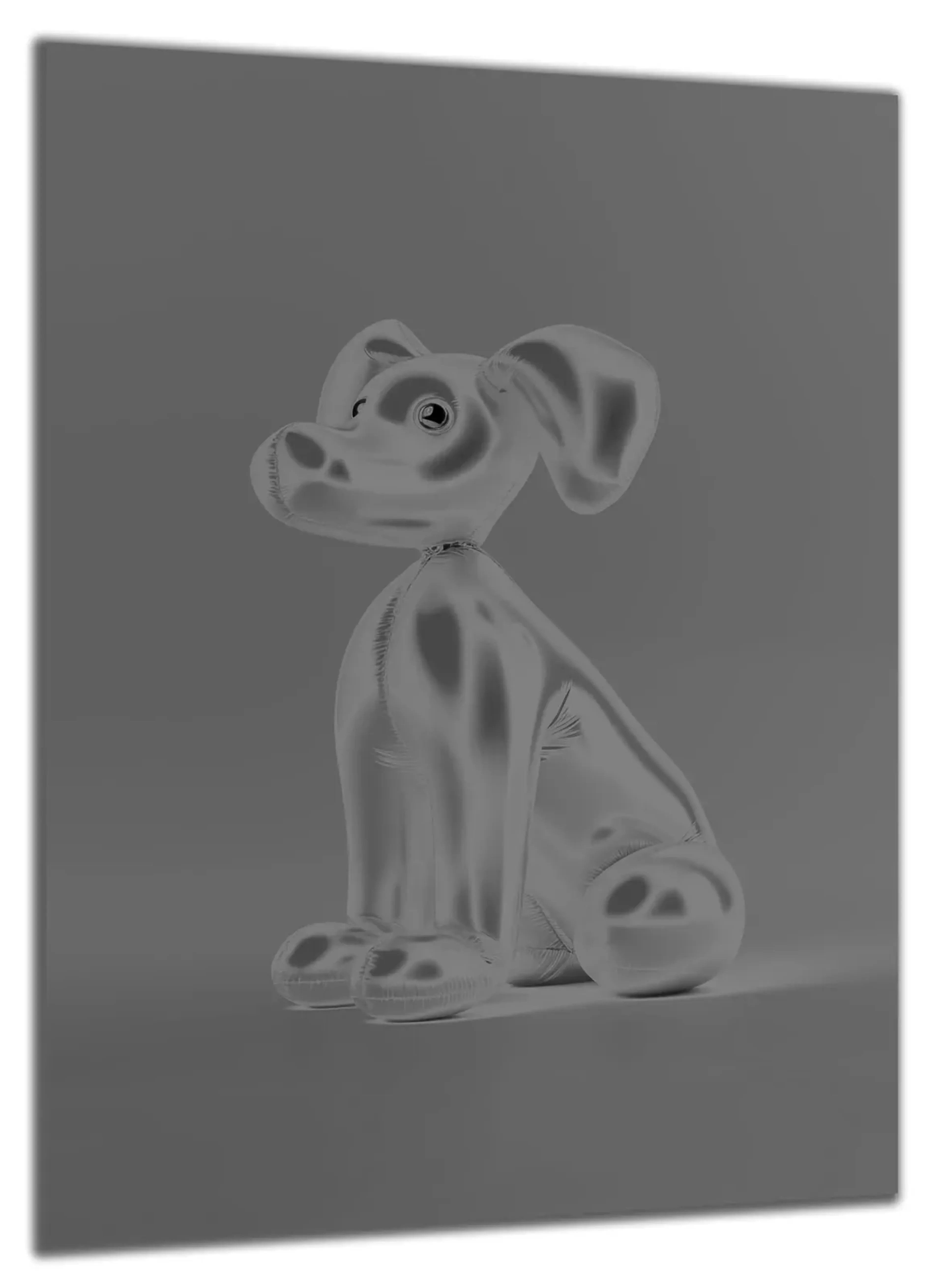Grauer Ballonhund – Ansicht 5