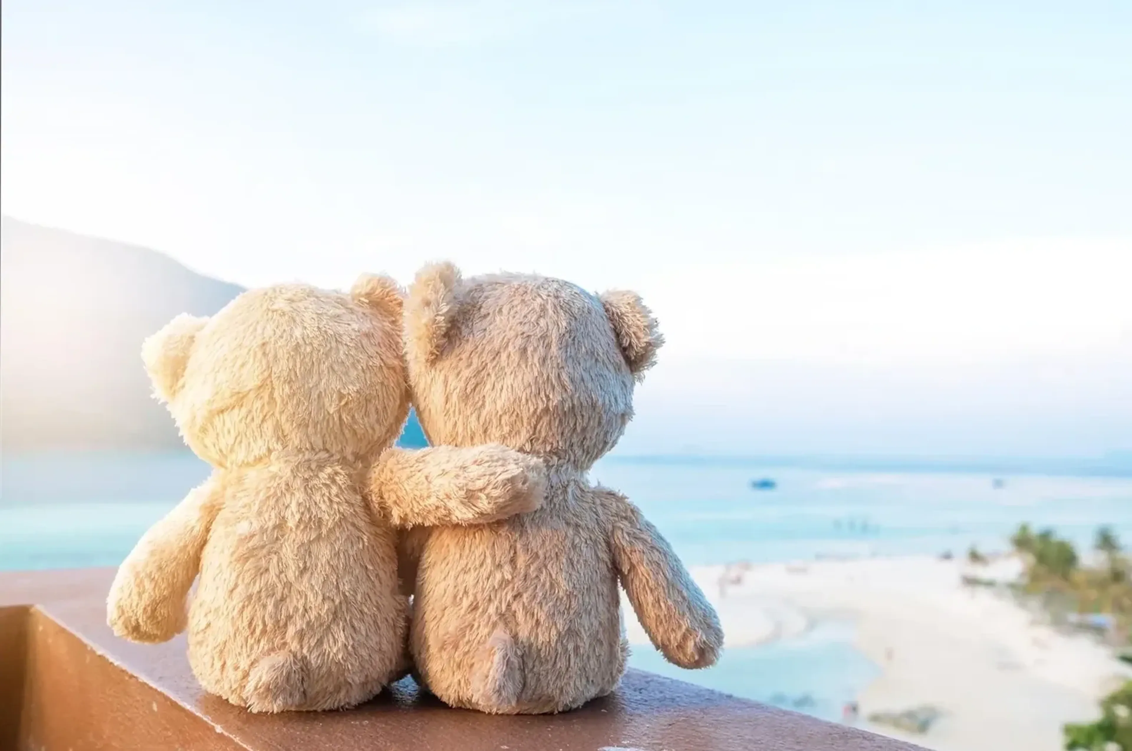 Zwei Teddybären sitzen Arm in Arm mit dem Rücken zur Kamera auf einer Brüstung vor hellem Strand und türkisfarbenem Meer.