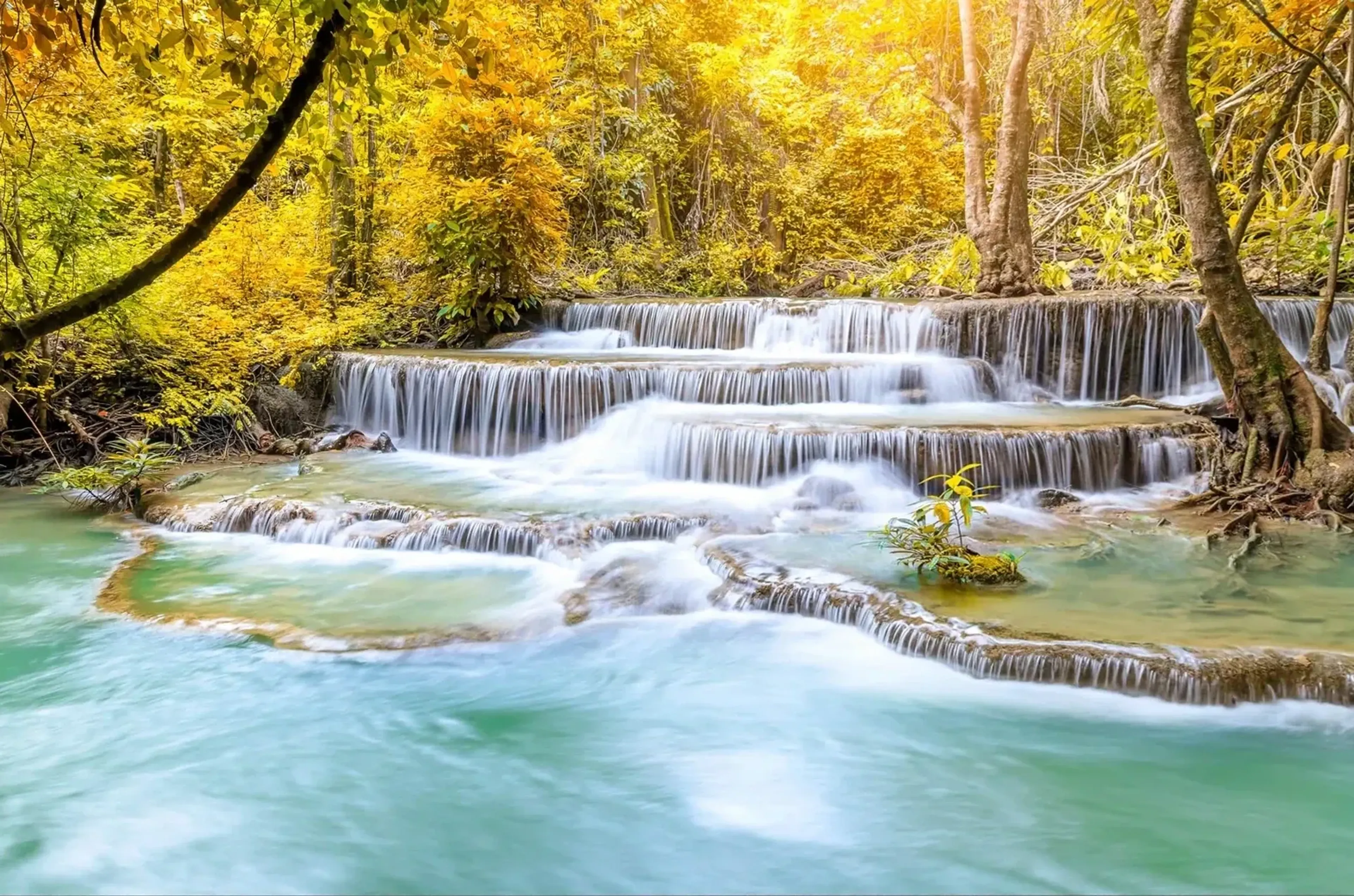 Flache Wasserkaskaden fließen durch einen gelbgrünen Wald in ein türkisfarbenes Becken im goldenen Licht.
