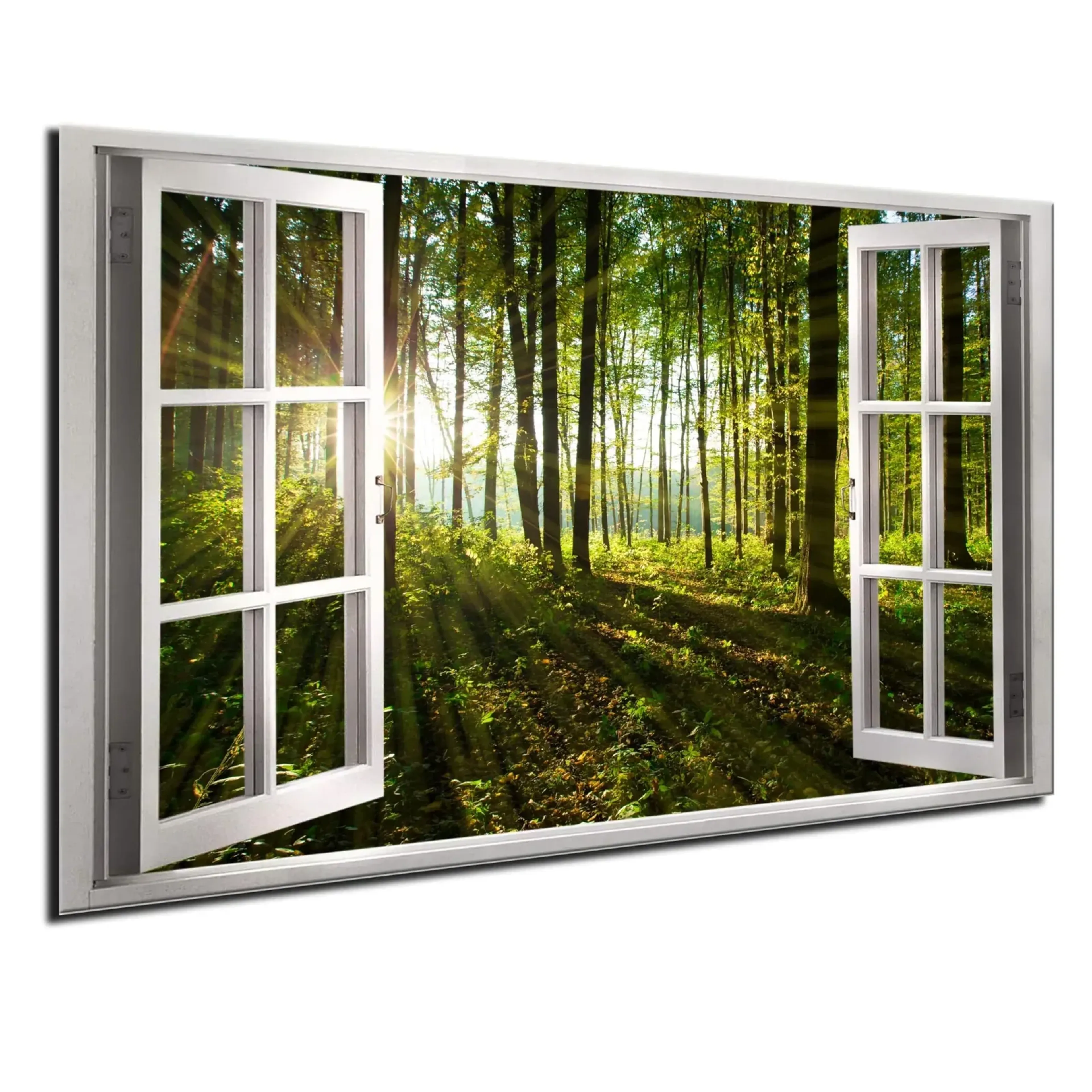 Sonnenlicht im Wald – Ansicht 5