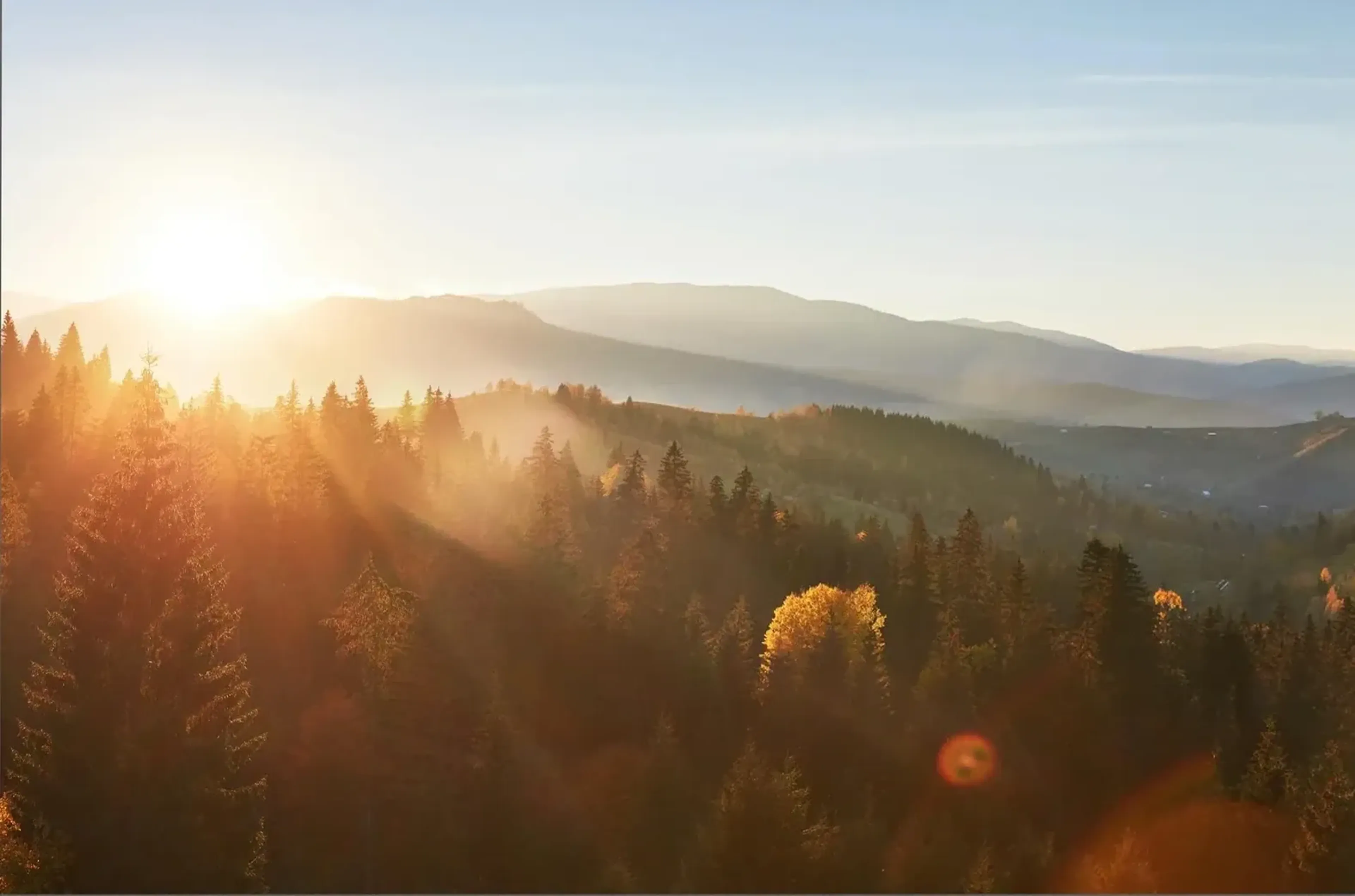 Goldenes Sonnenlicht fällt über einen herbstlichen Wald mit Dunst und mehreren Hügelketten im Hintergrund.