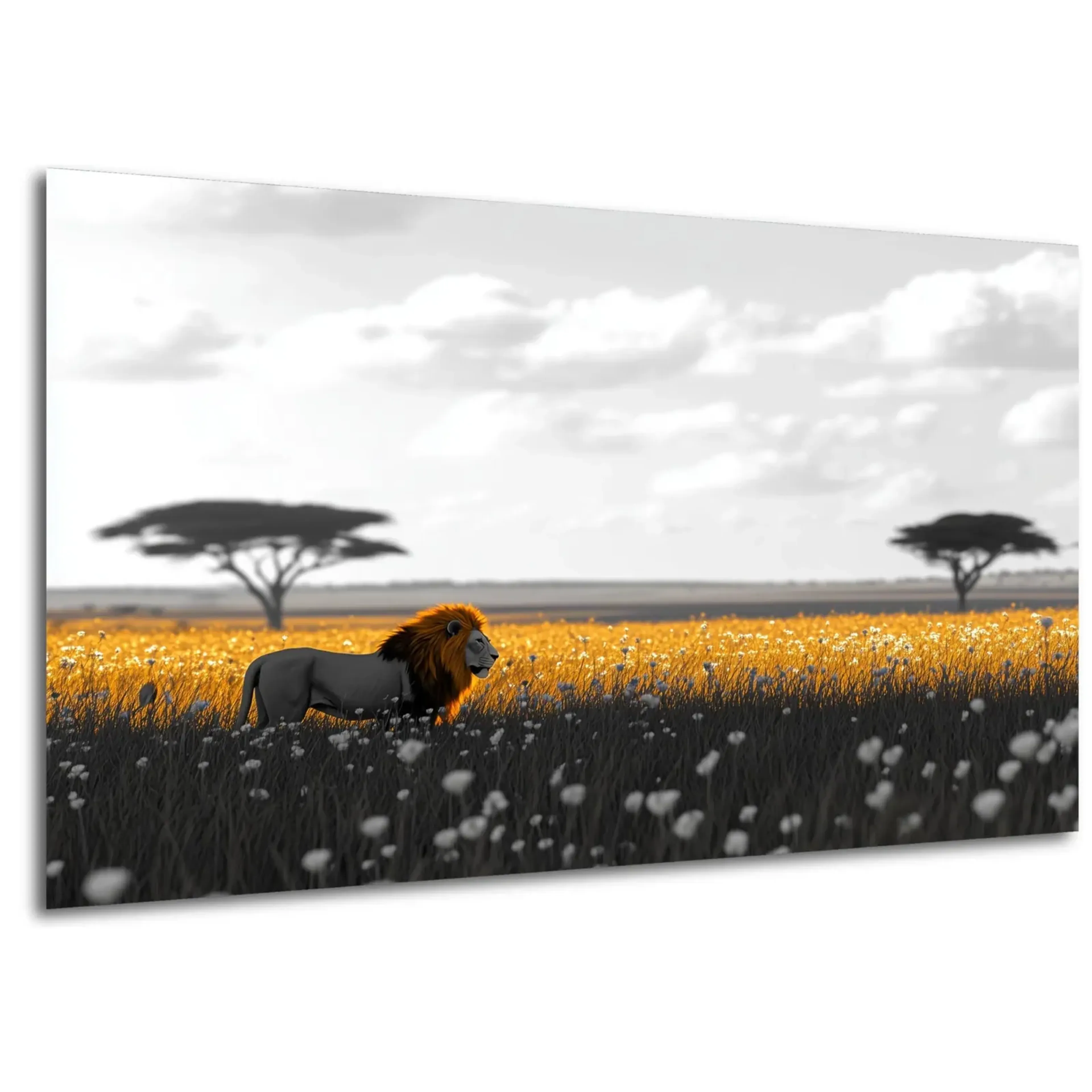 Löwe im goldenen Gras – Ansicht 5