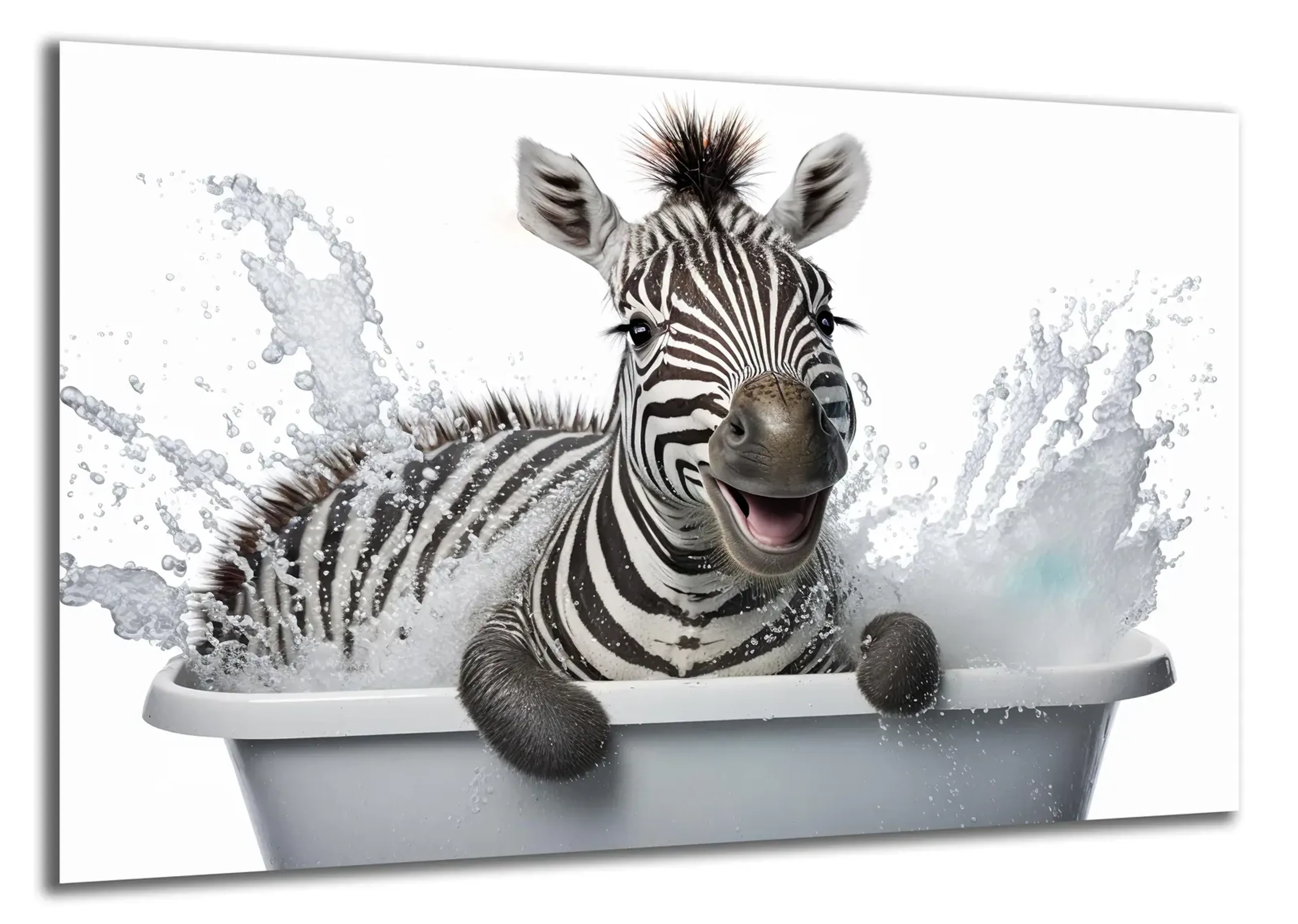 Ein Zebra mit geöffnetem Maul sitzt in einer grauen Badewanne, umgeben von hochspritzendem Wasser.