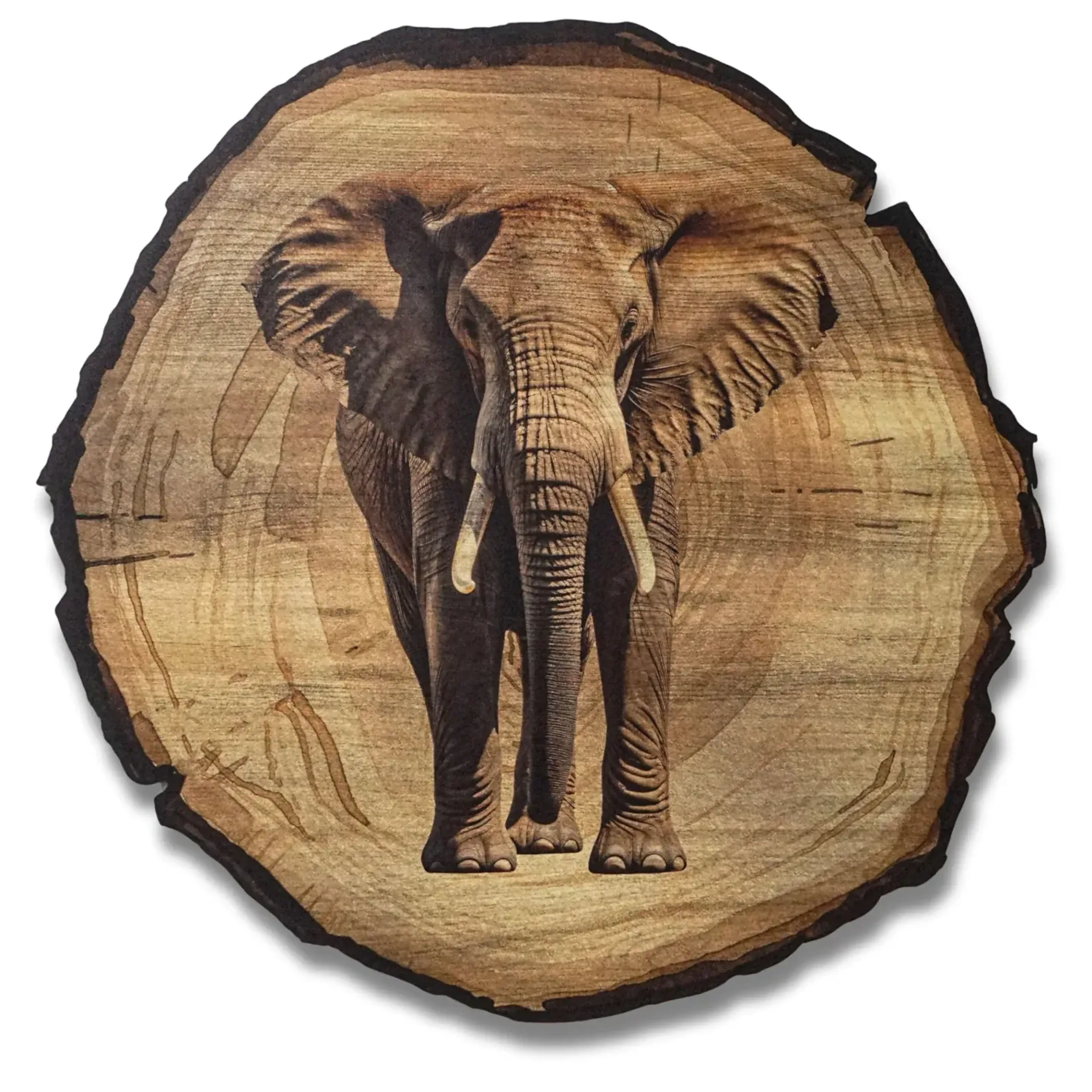 Elefant – Ansicht 5