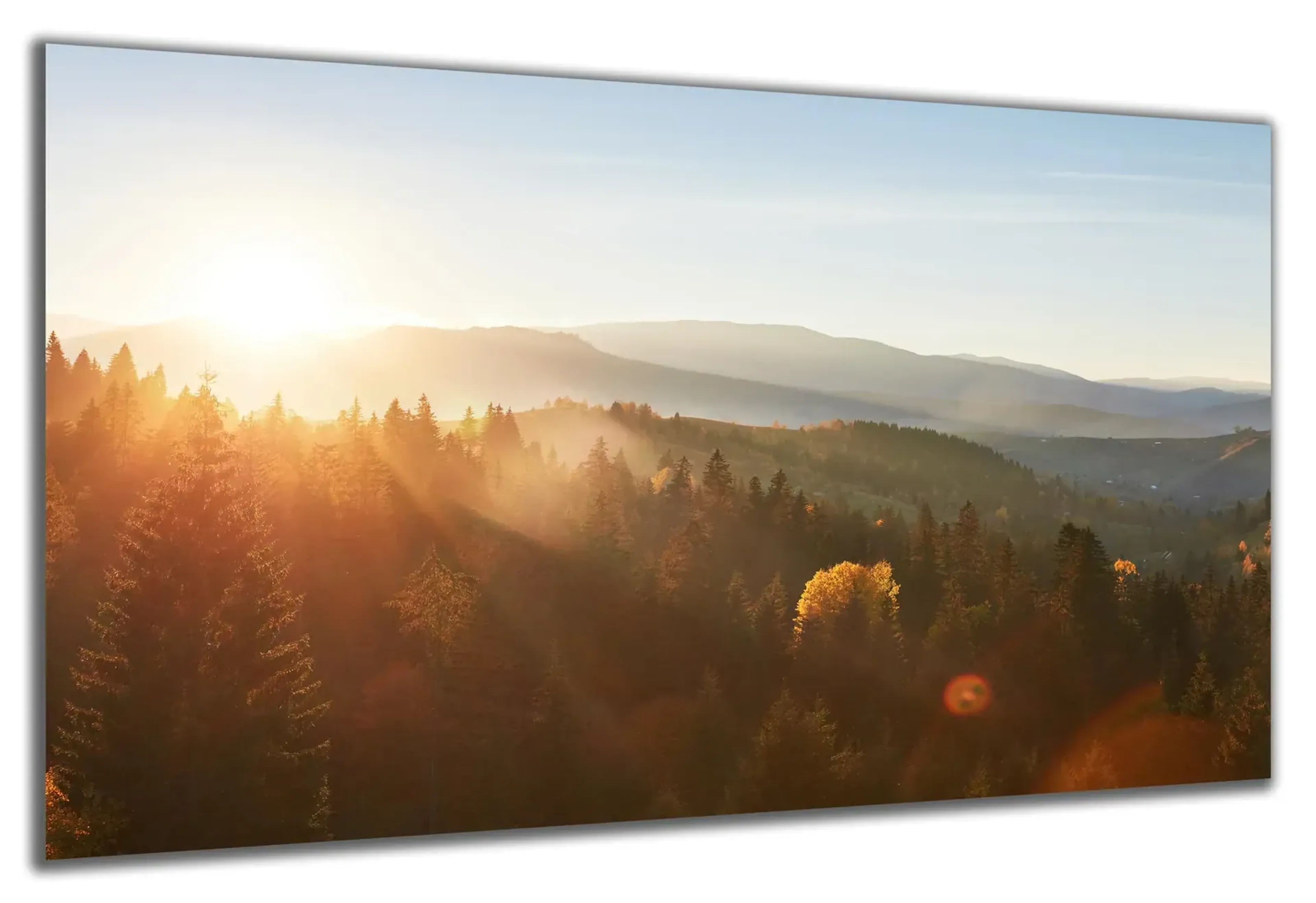 Herbstwald im Sonnenlicht – Ansicht 5