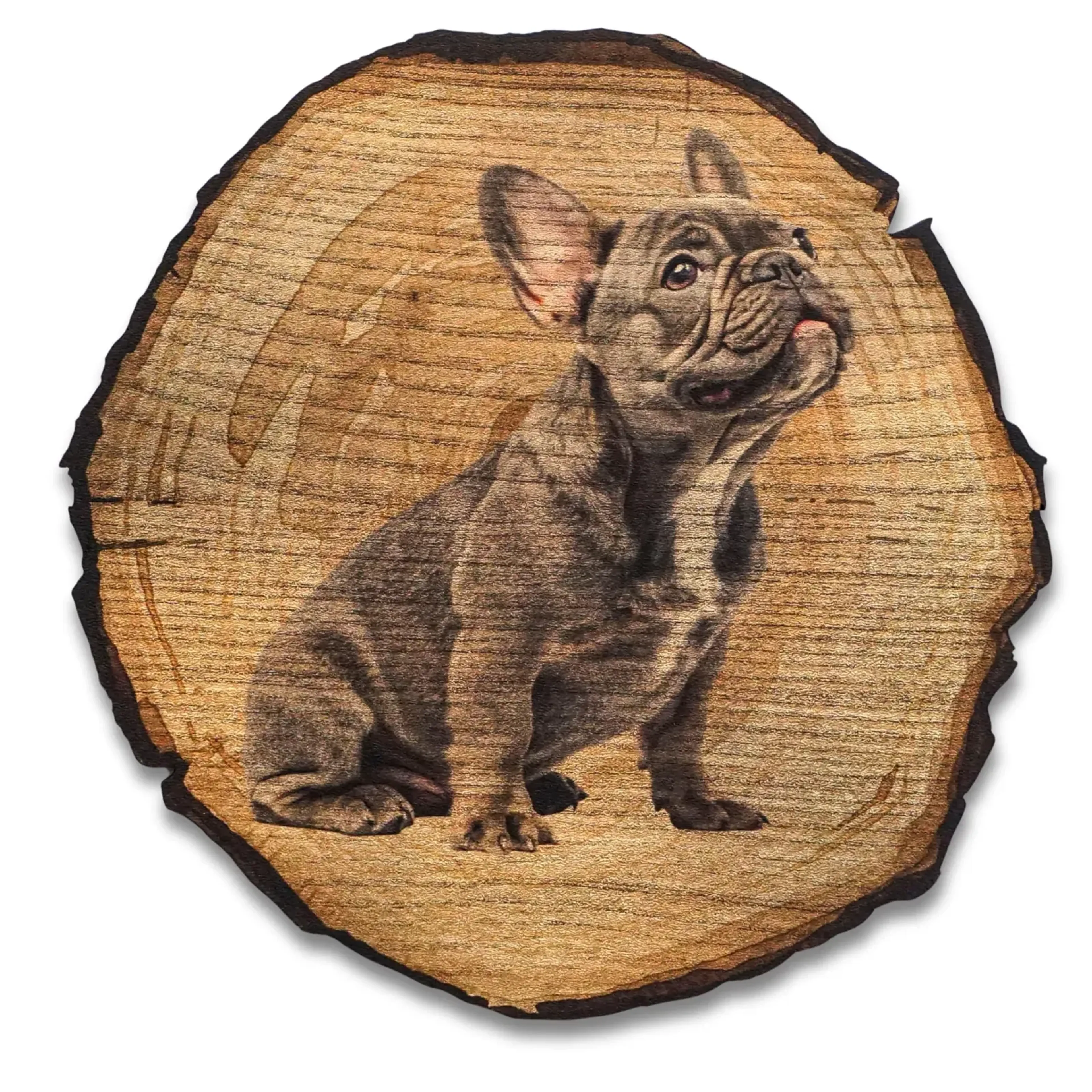 Bulldogge dunkel – Ansicht 5