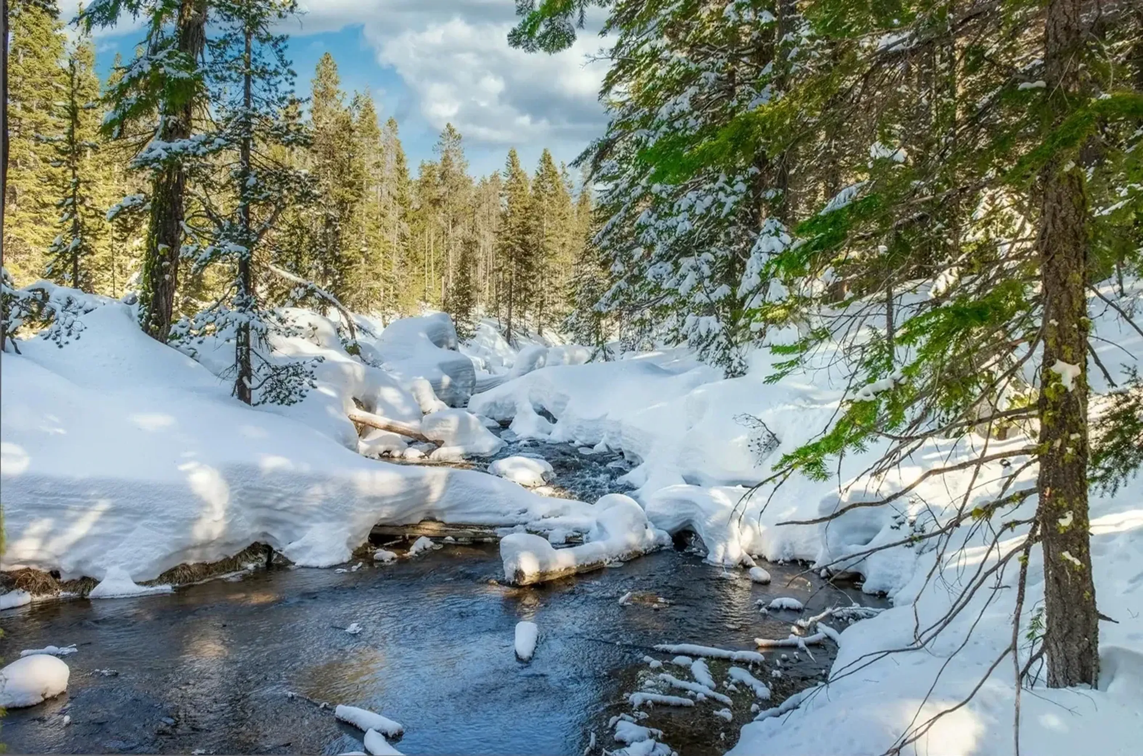 Ein Bach fließt zwischen schneebedeckten Steinen und Baumstämmen durch einen winterlichen Nadelwald.