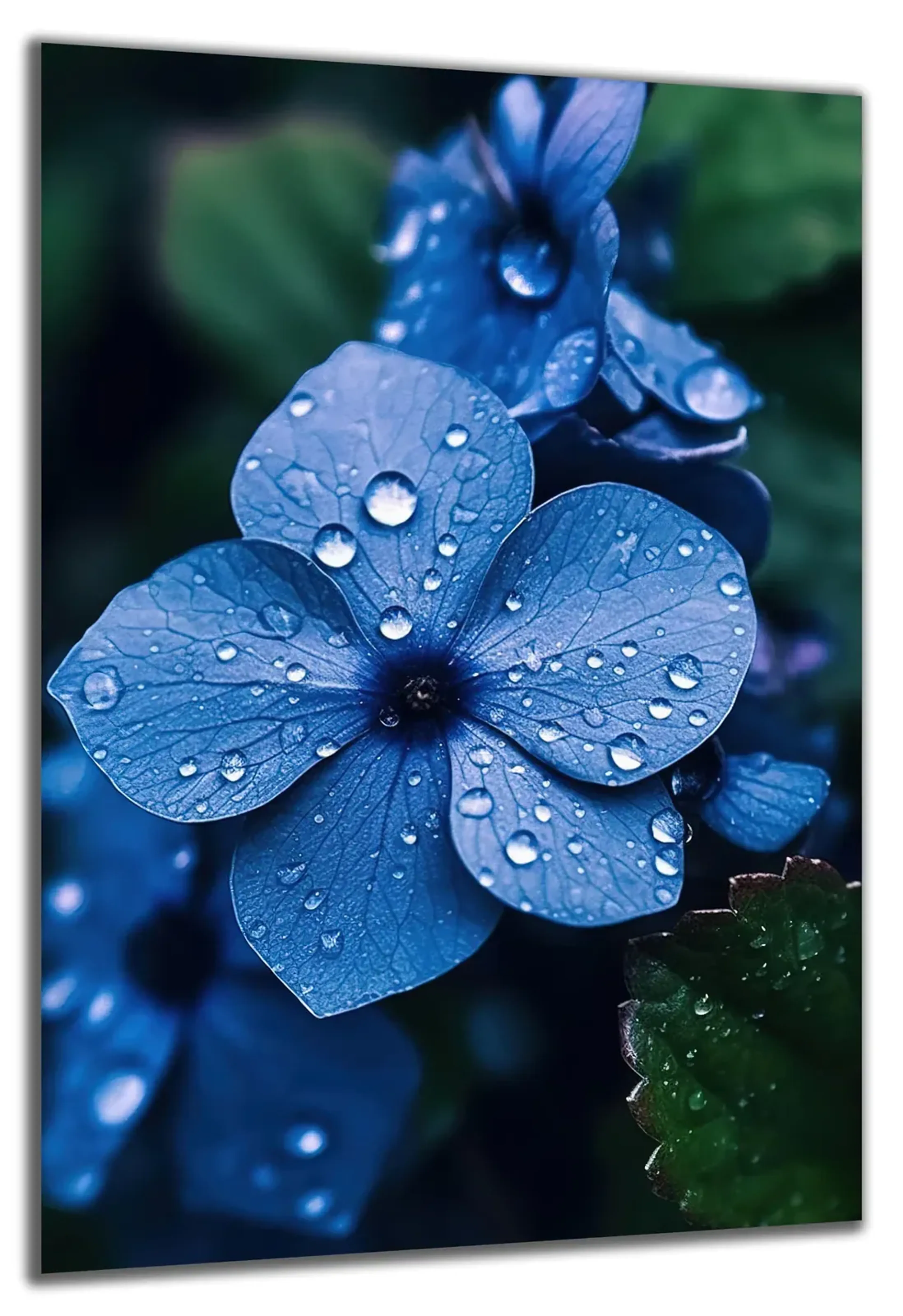 Blaue Blüte – Ansicht 5