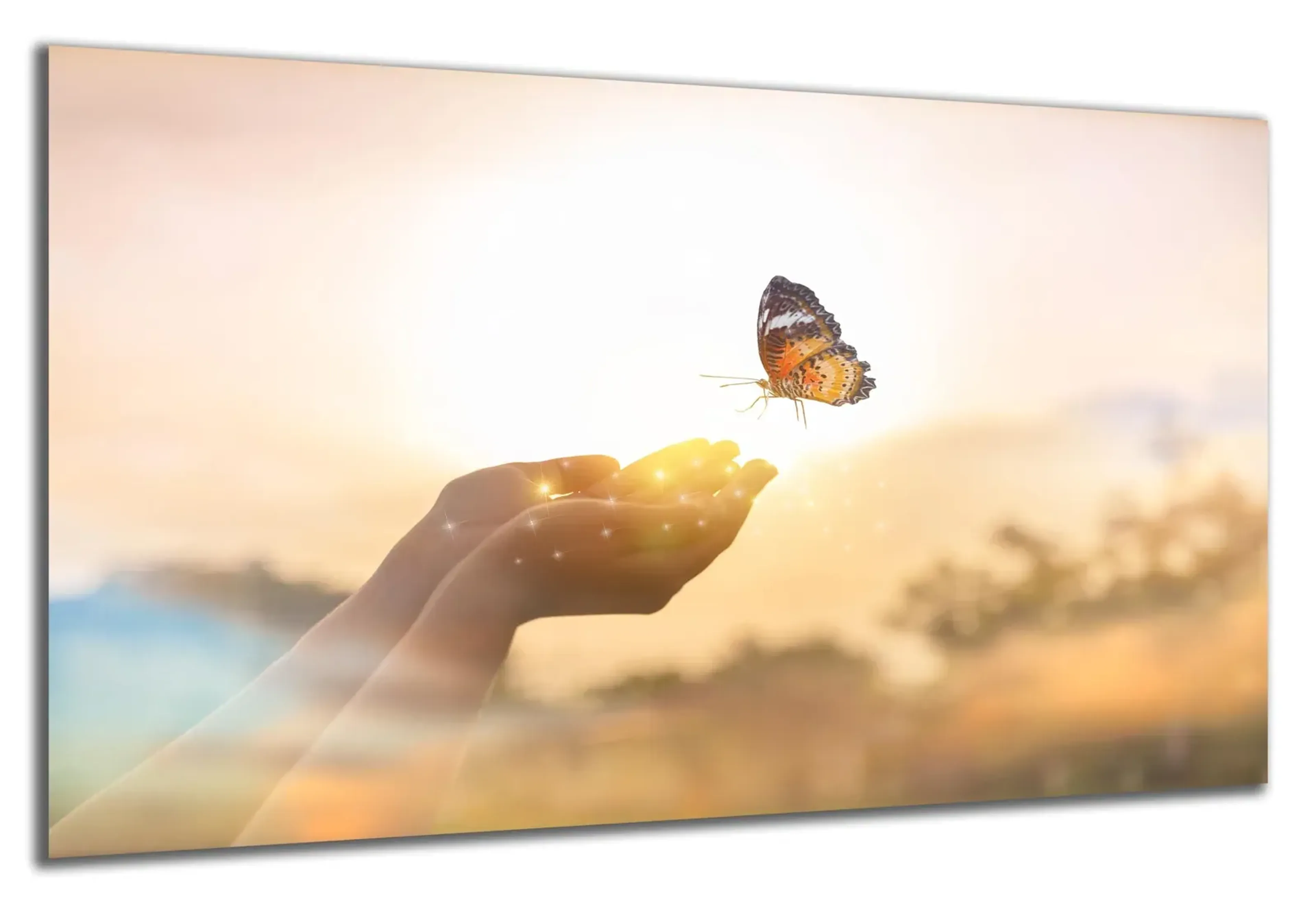 Schmetterling über Händen – Ansicht 4