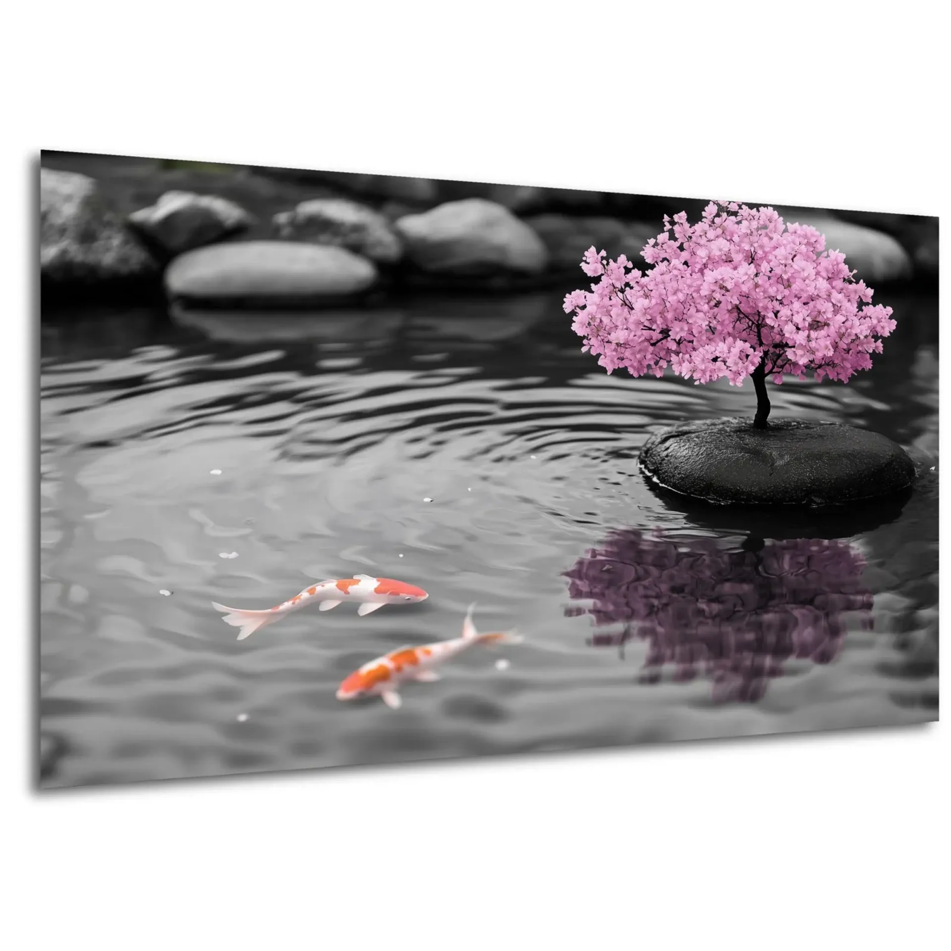 Bonsai am Wasser – Ansicht 5