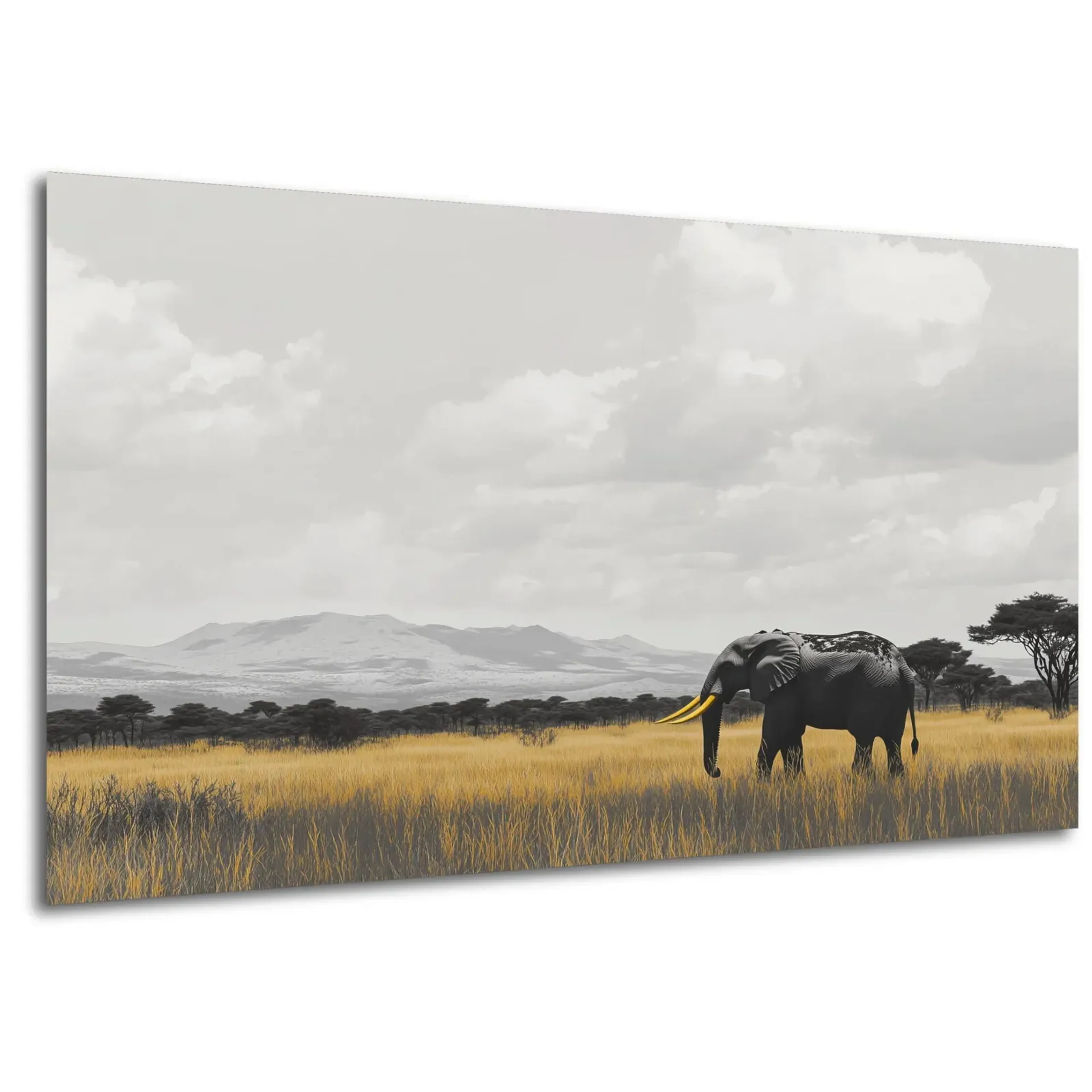 Elefant im goldenen Gras – Ansicht 5