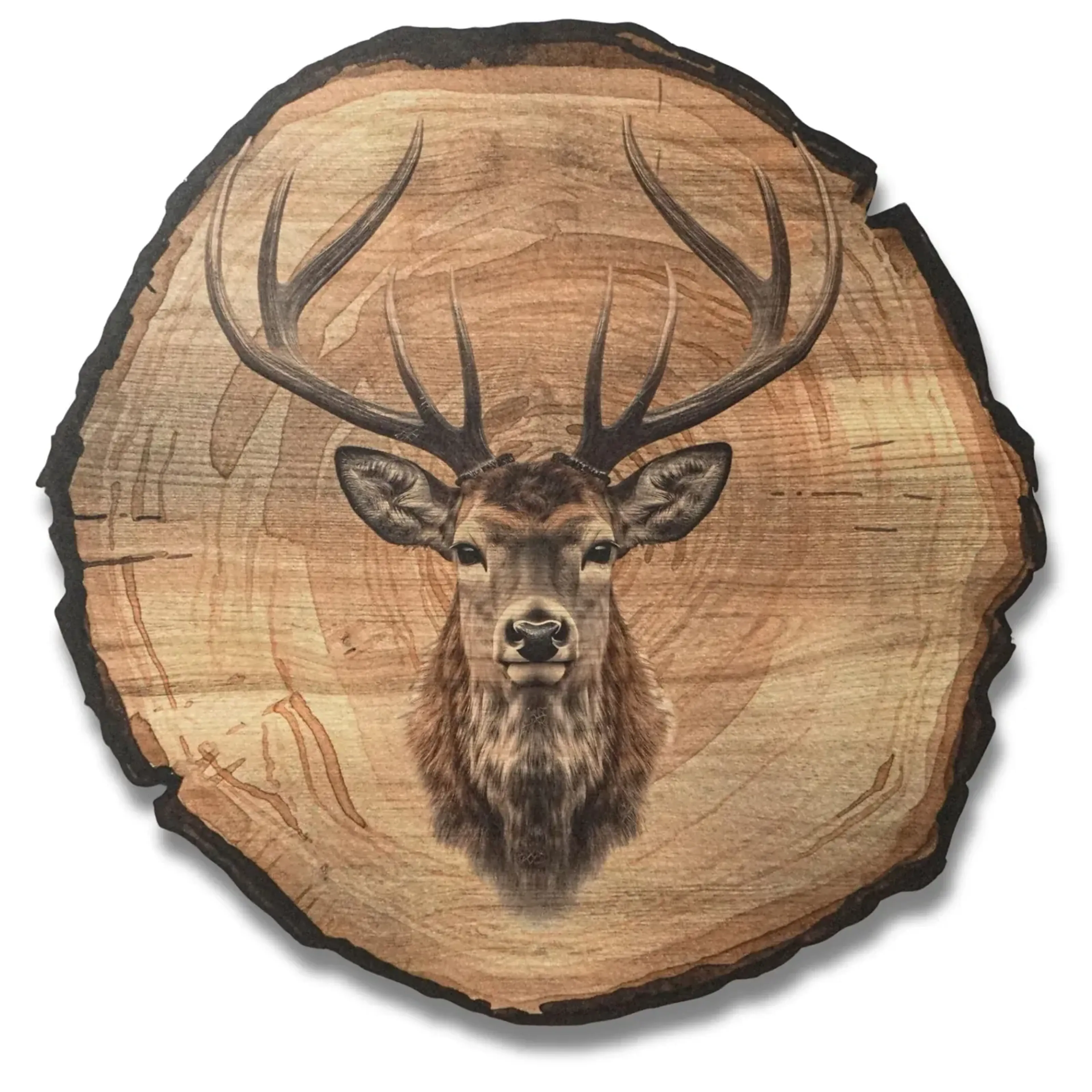 Hirsch mit weitem Geweih – Ansicht 5