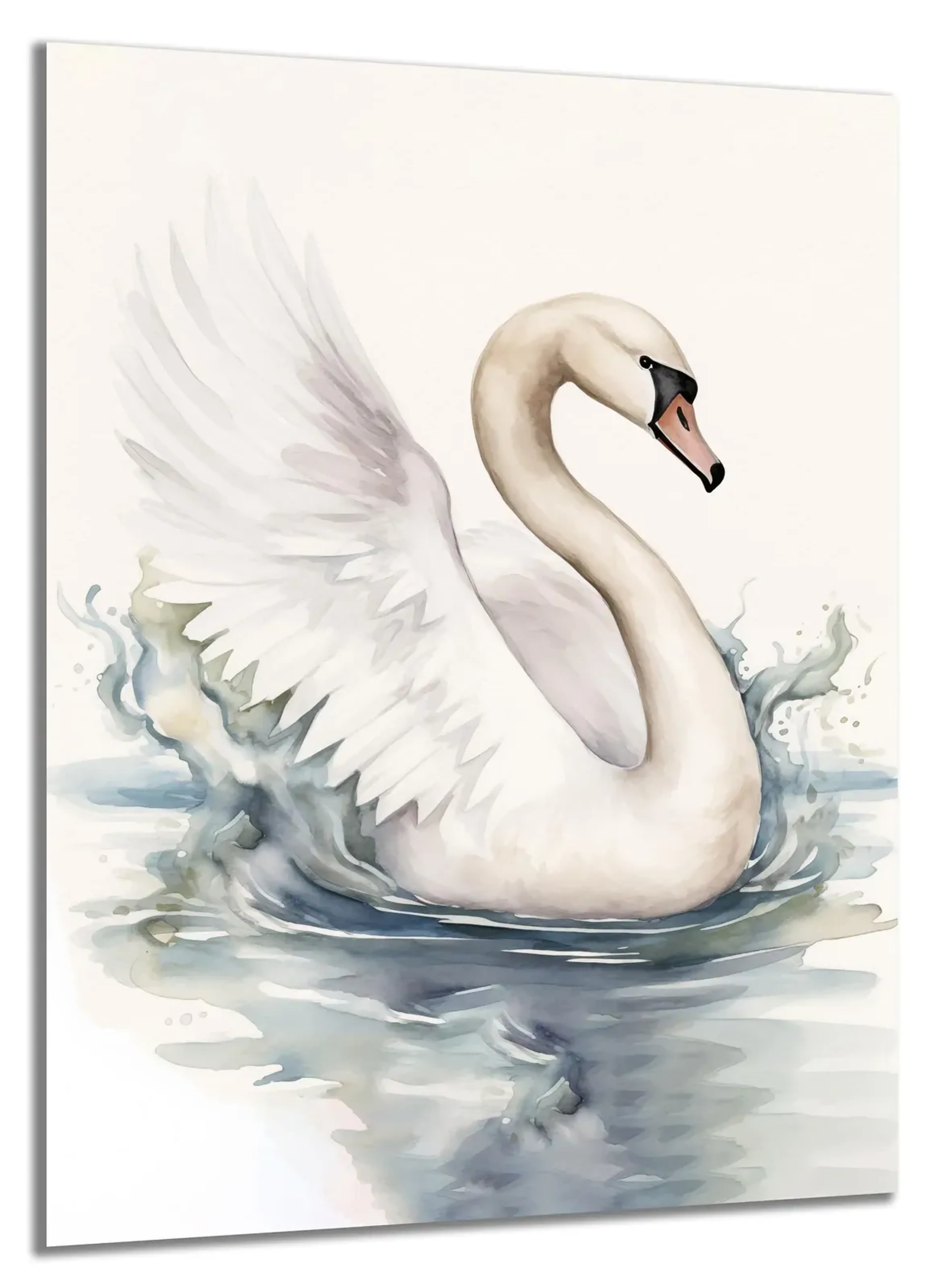 Schwan mit geöffneten Flügeln – Ansicht 5