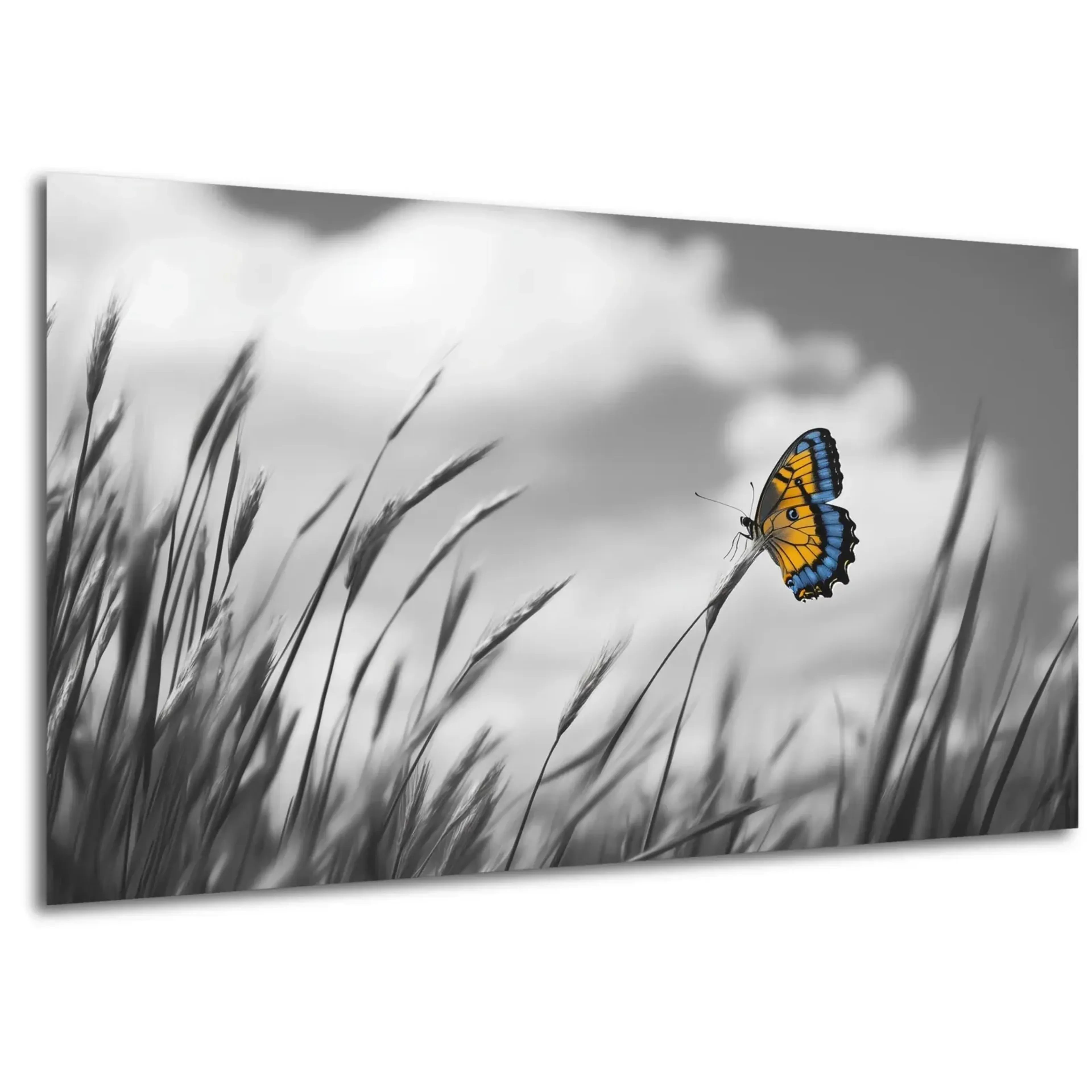 Schmetterling im Gras – Ansicht 5