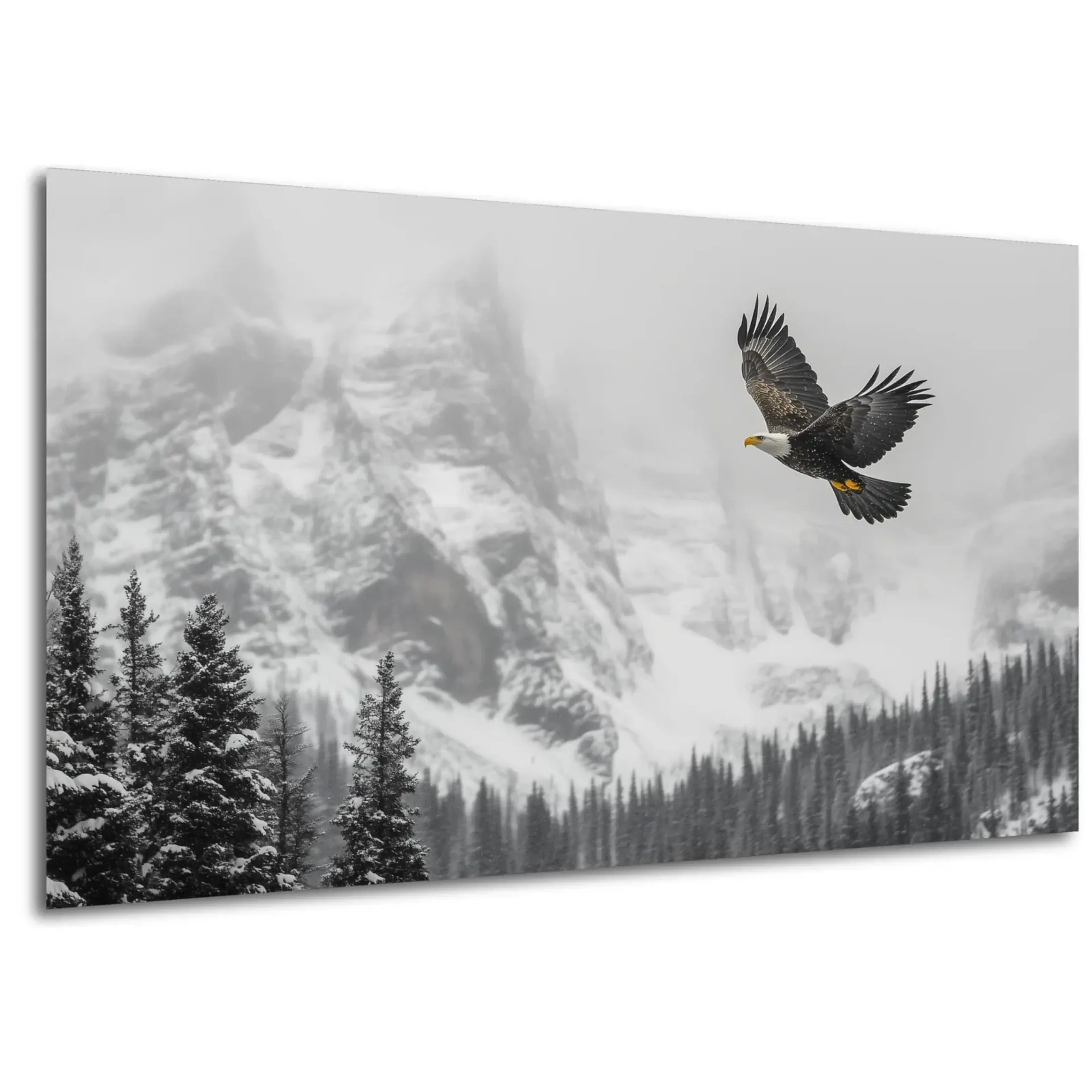 Adler im Wintergebirge – Ansicht 5