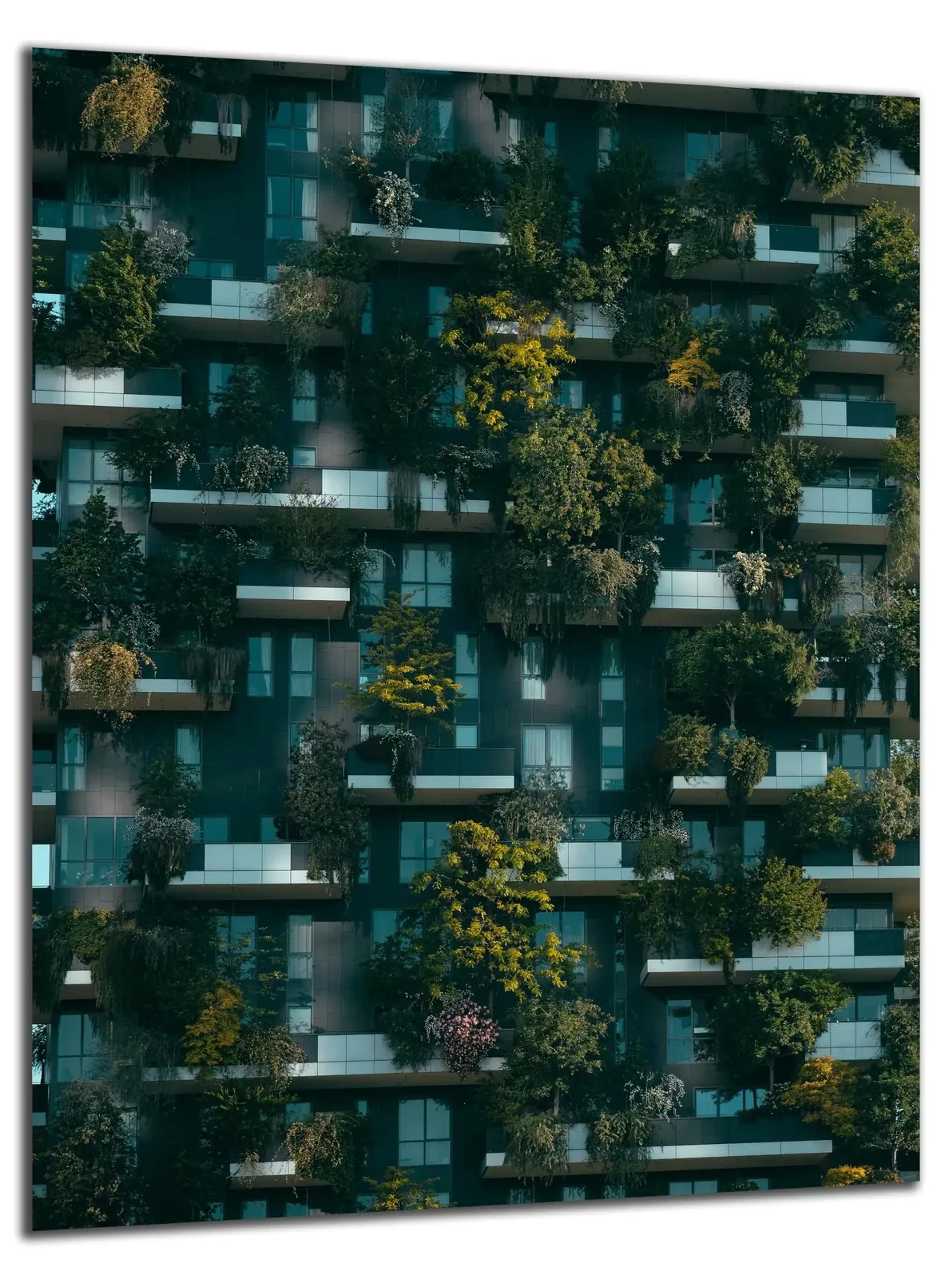 Grüne Fassade – Ansicht 5