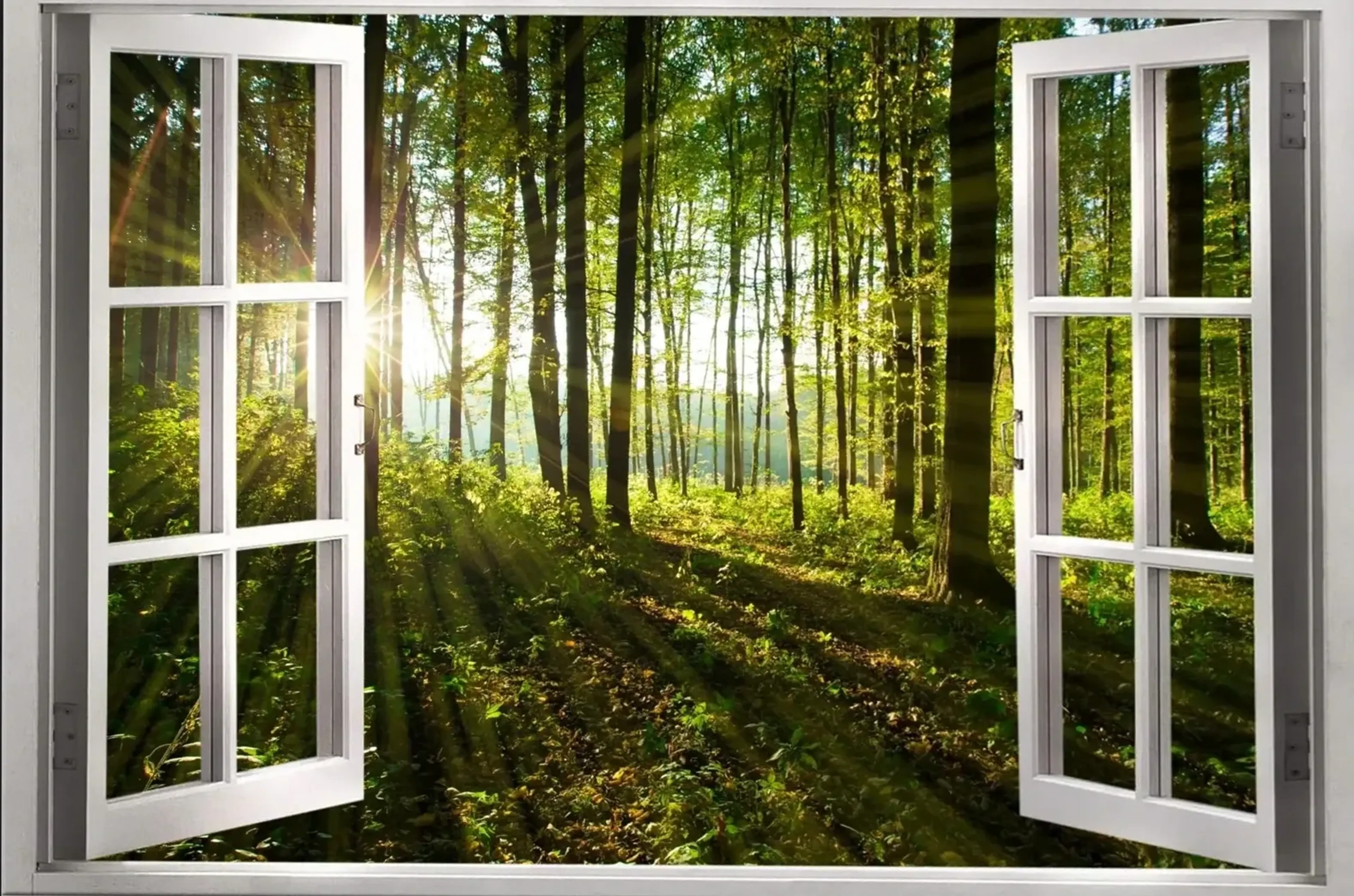 Weiße geöffnete Fensterflügel umrahmen einen grünen Wald mit Sonnenstrahlen und langen Schatten am Boden.