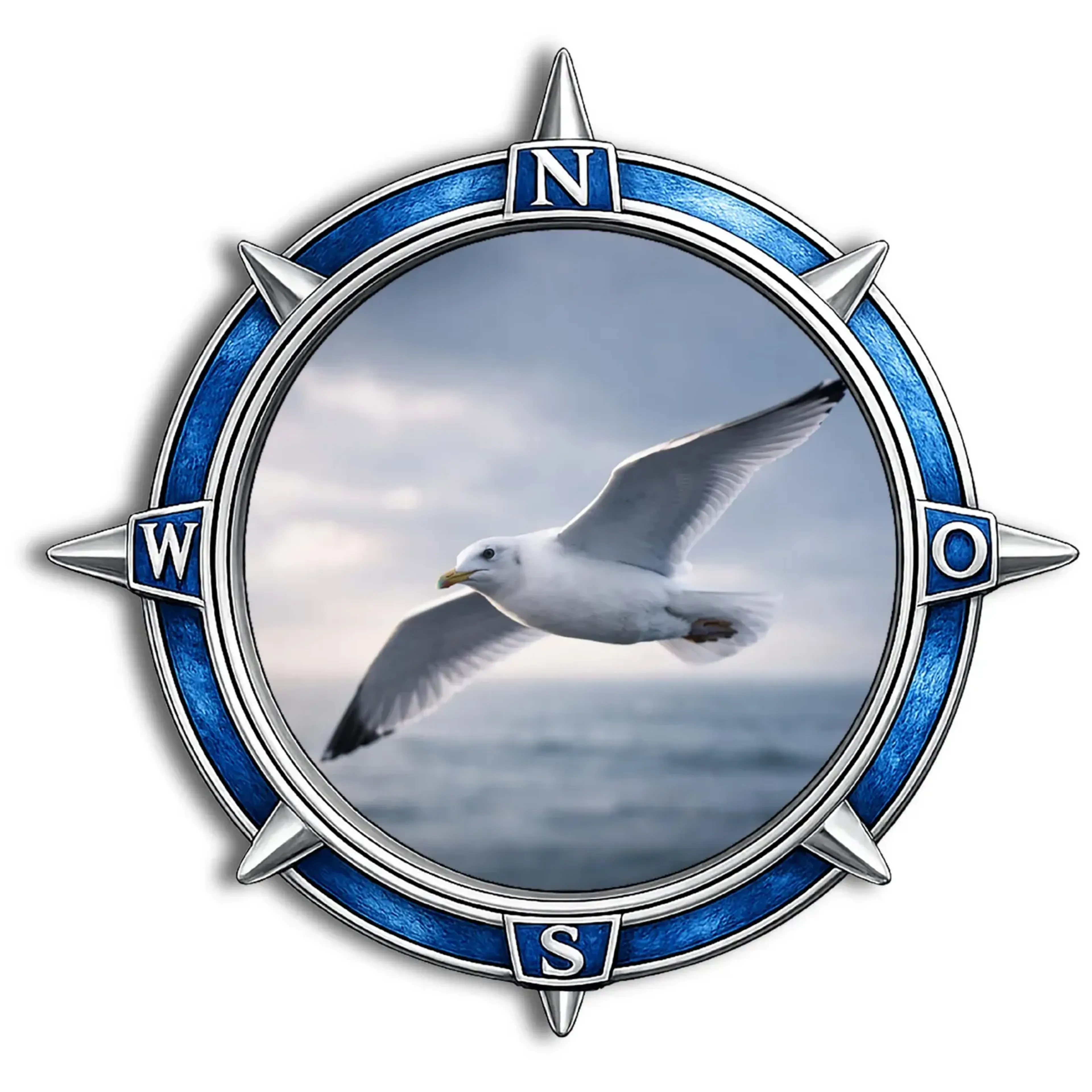 Möwe im Flug – Ansicht 4
