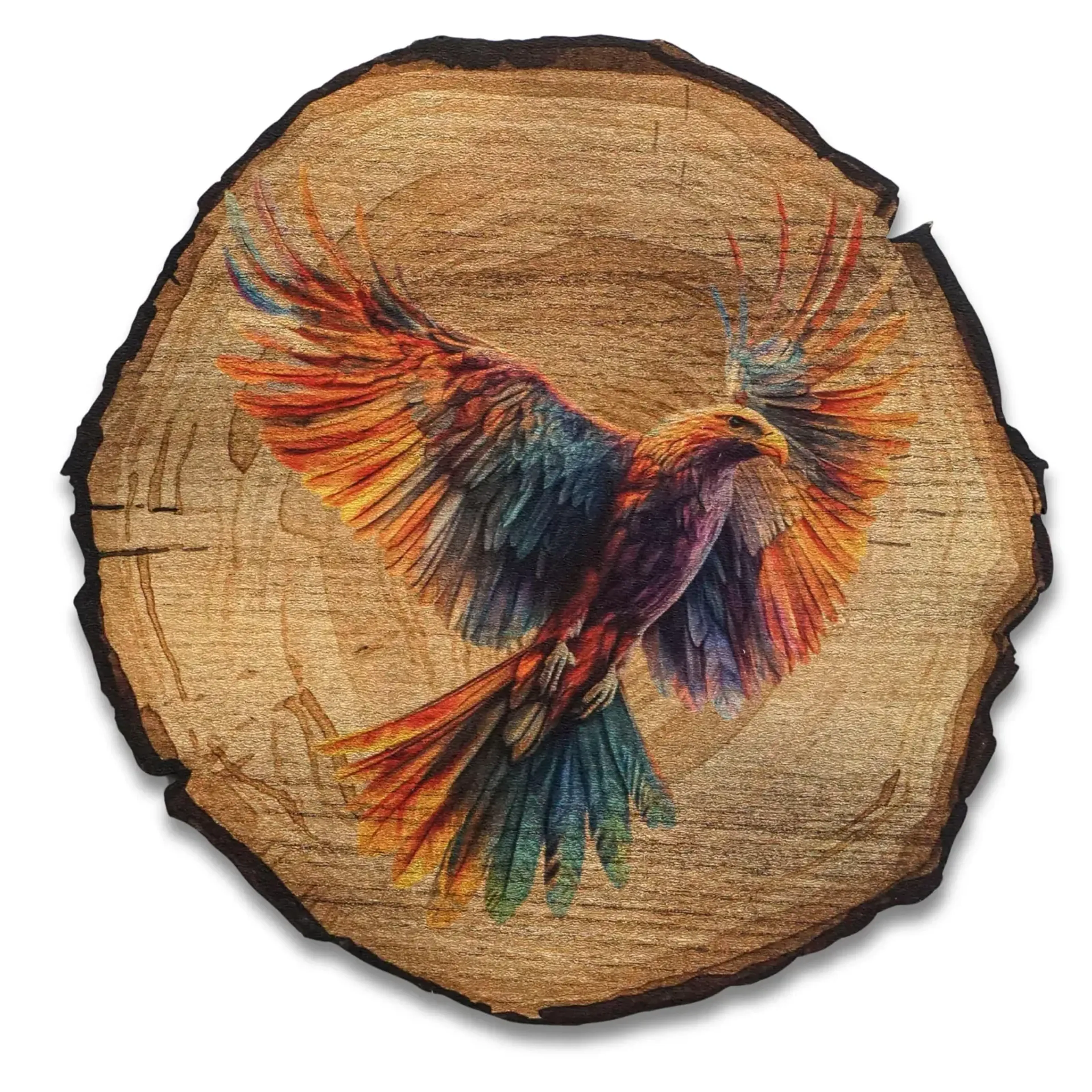 Bunter Vogel im Flug – Ansicht 5