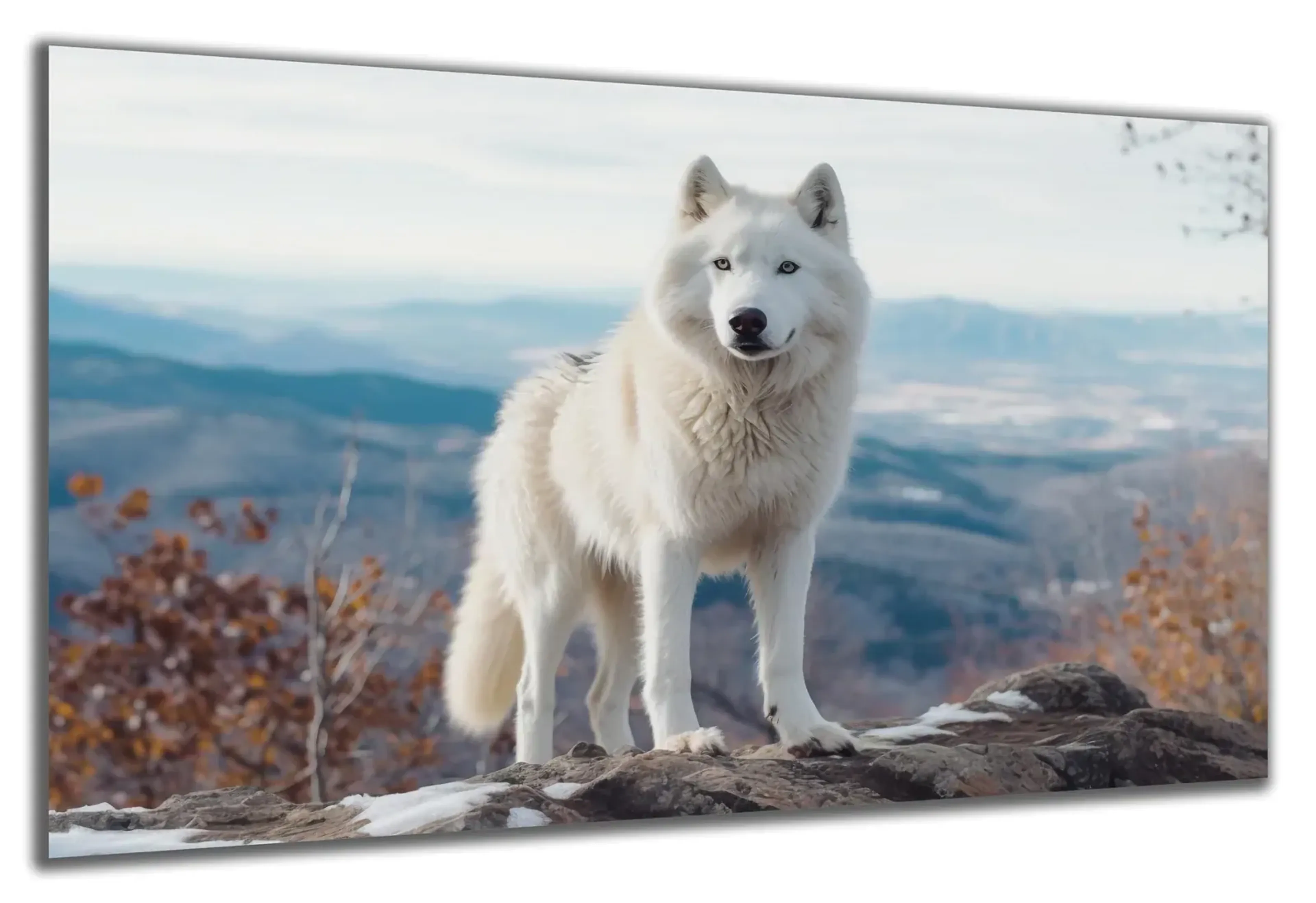 Weißer Wolf auf Felsen – Ansicht 5
