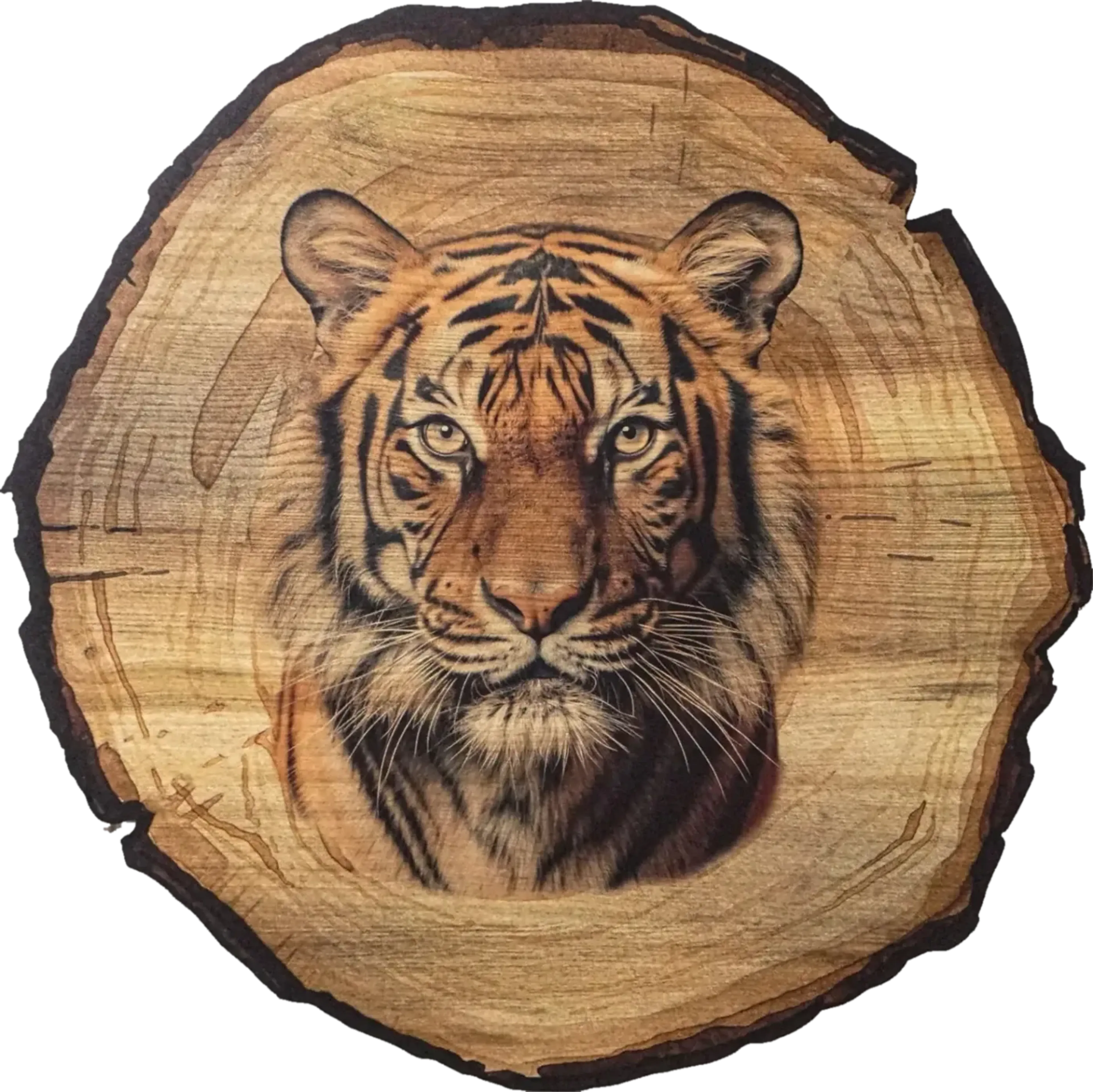 Tigerporträt mit goldgelben Augen auf einem Hintergrund in Baumscheibenoptik mit dunklem Rand.