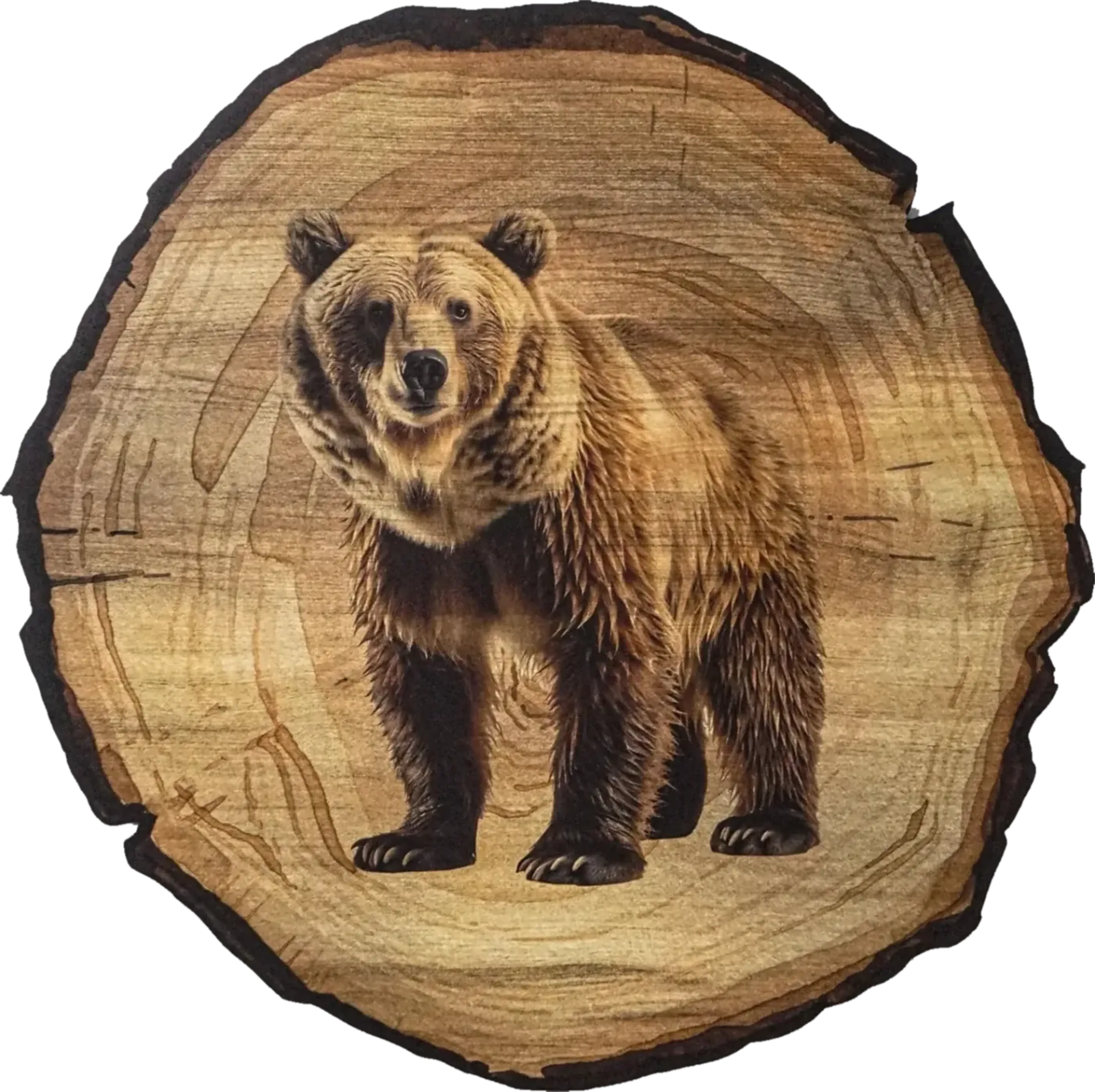 Stehender Braunbär mit nach vorn gerichtetem Gesicht vor goldbrauner Baumscheibenoptik mit dunklem Rand.