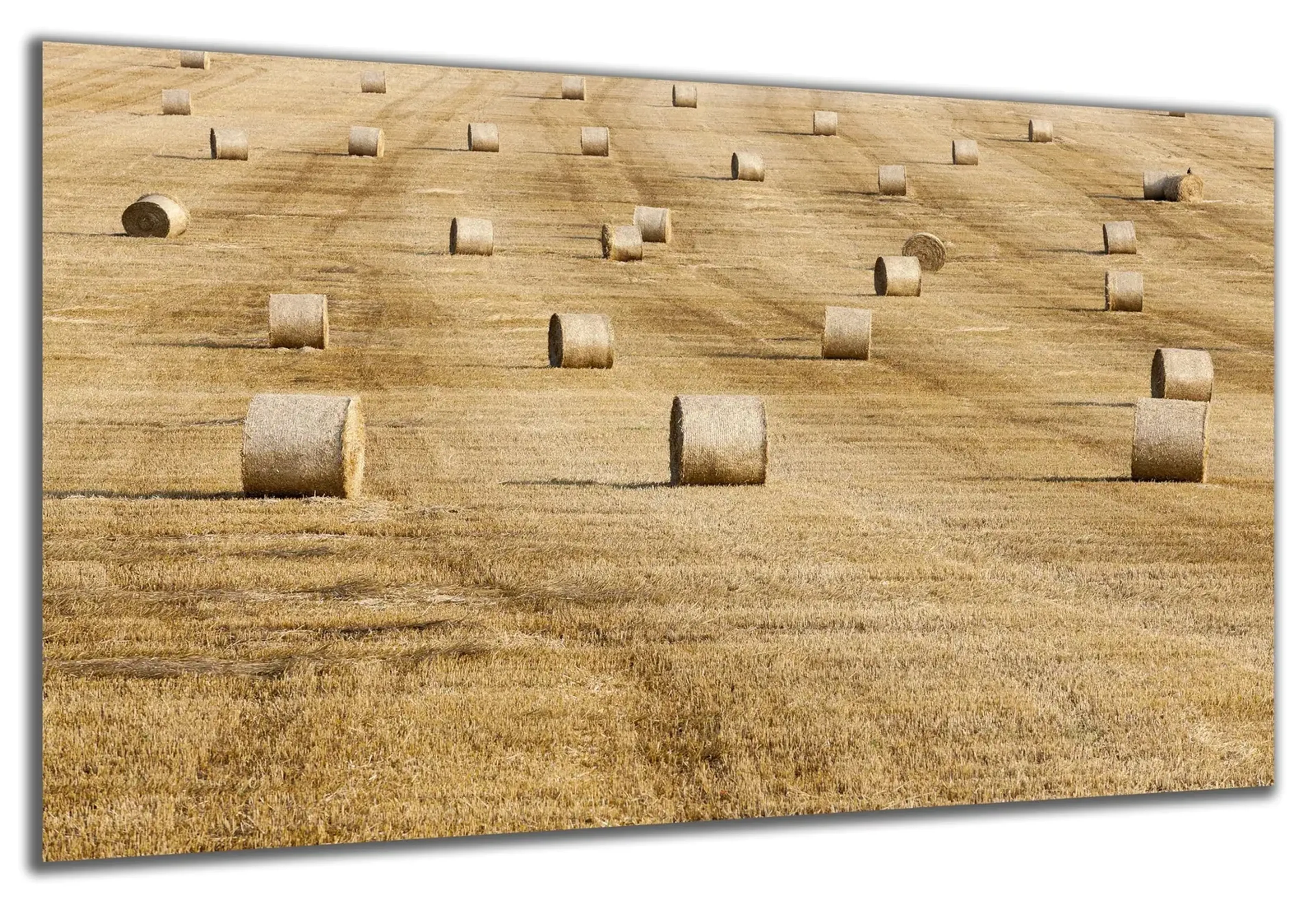 Strohballen auf dem Feld – Ansicht 5