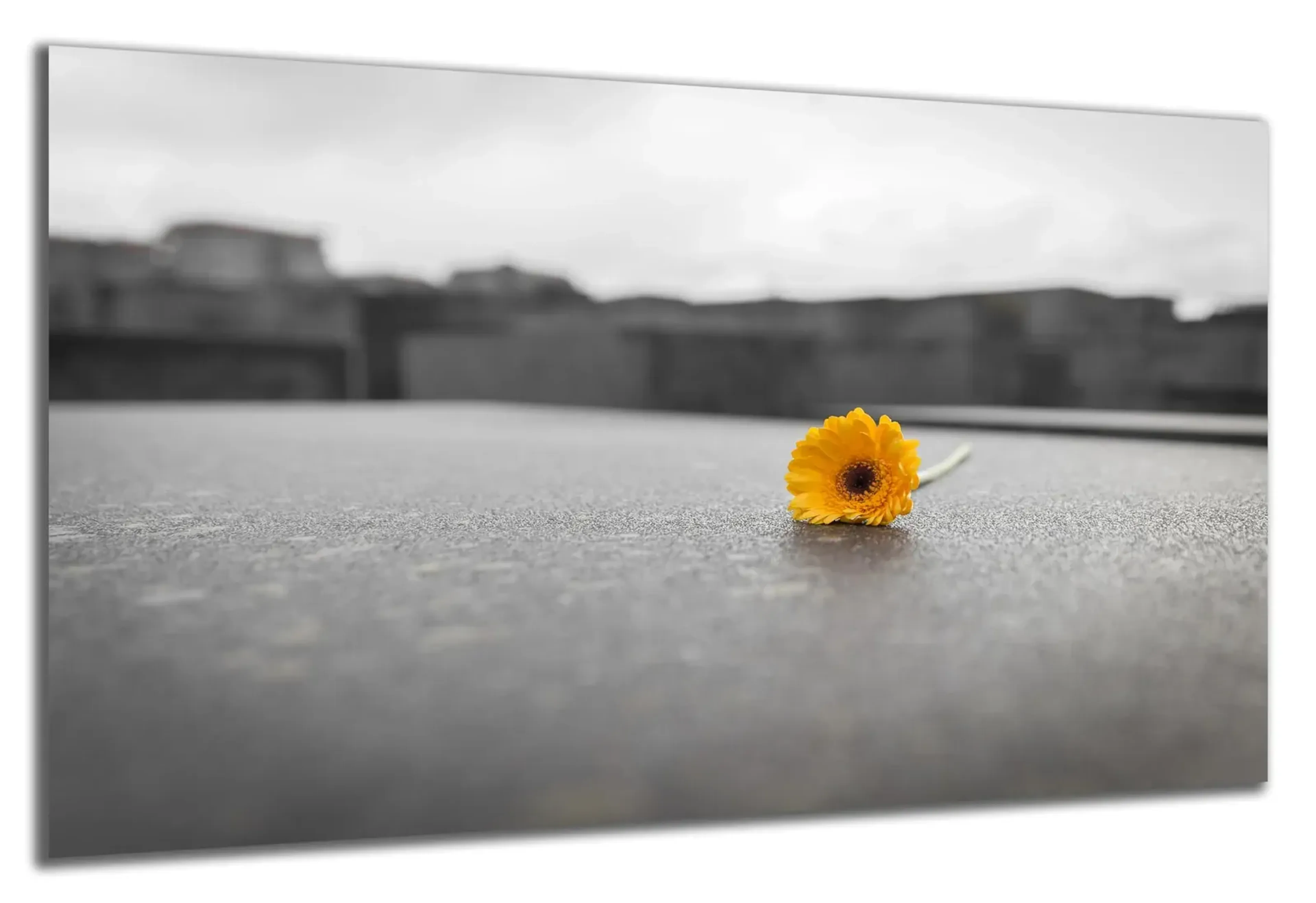 Blume auf Grabstein – Ansicht 4