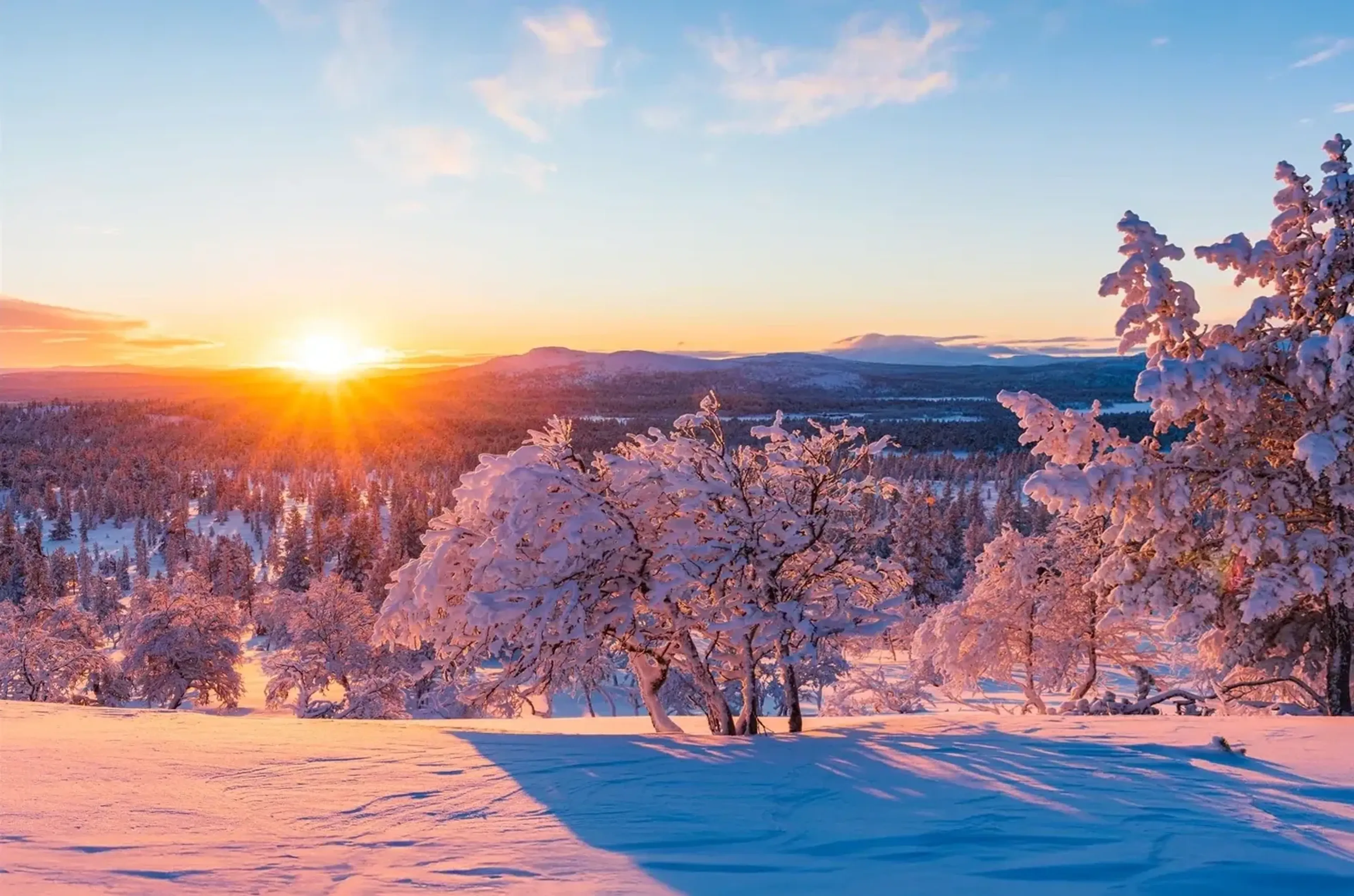 Winterlandschaft im Sonnenlicht – Motiv als Wandbild auf Holz
