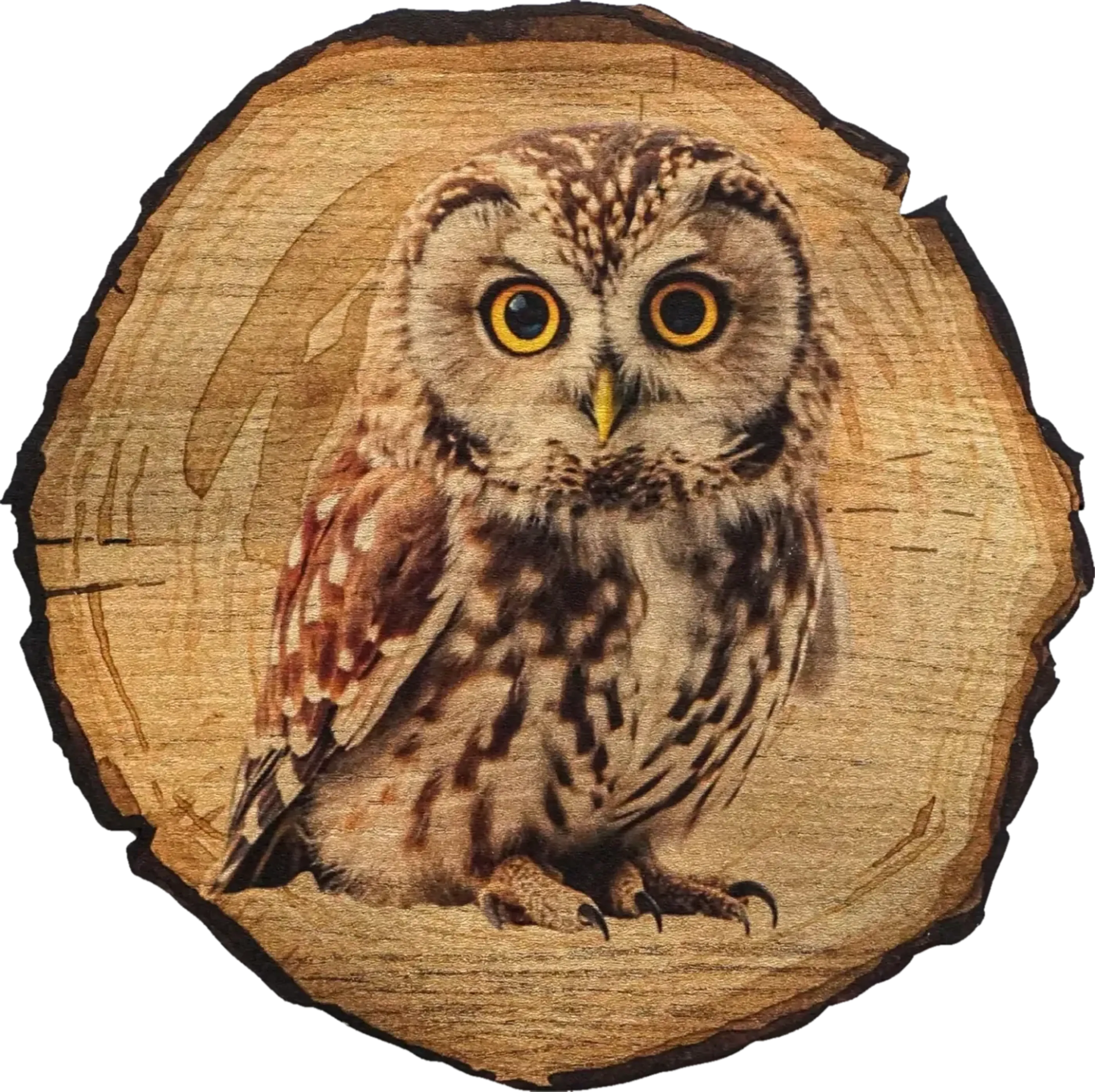Braun-cremefarbene Eule mit großen gelb umrandeten Augen vor einer runden Holzoptik mit dunklem Rand.