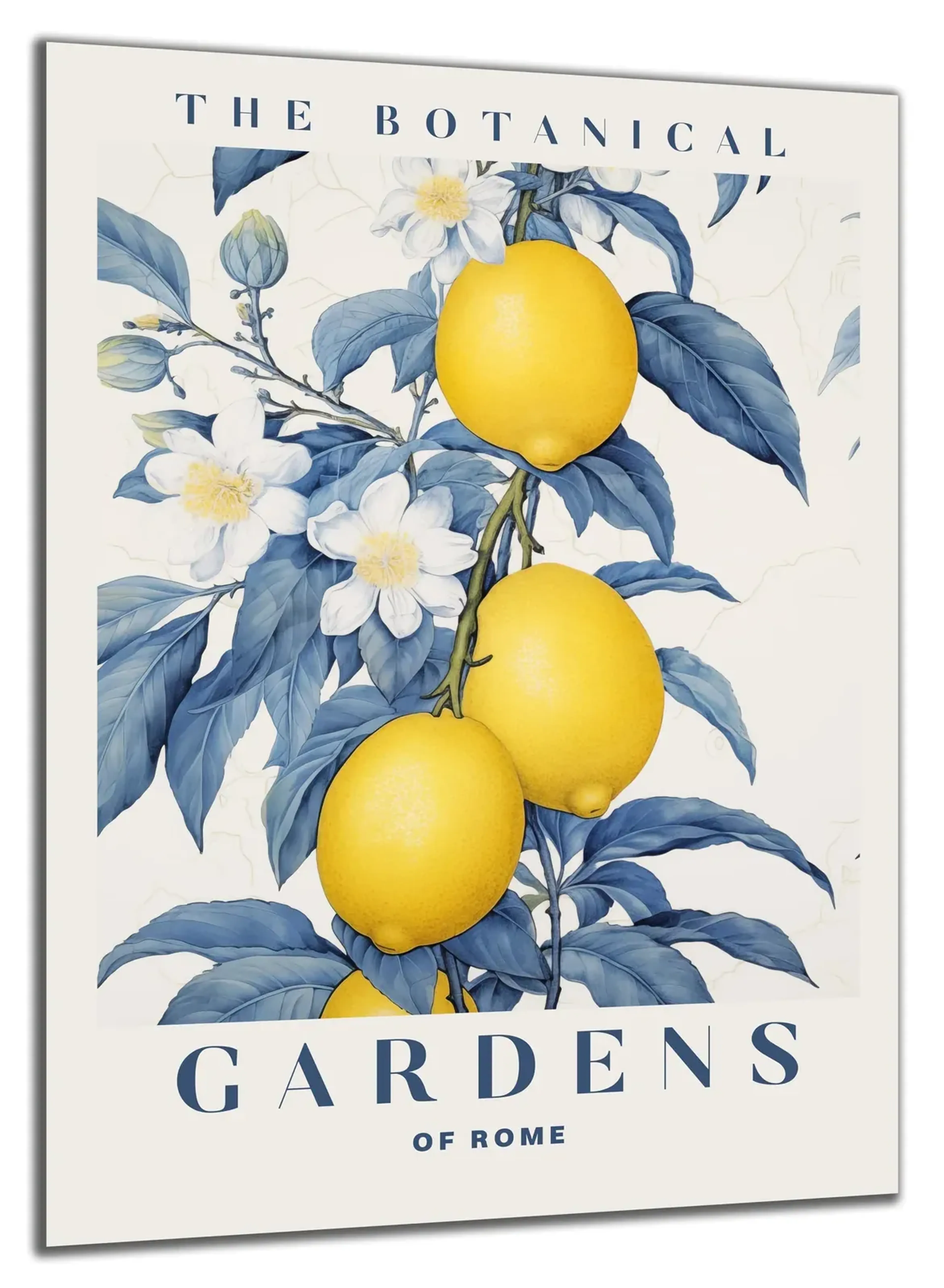 Botanischer Garten – Ansicht 5
