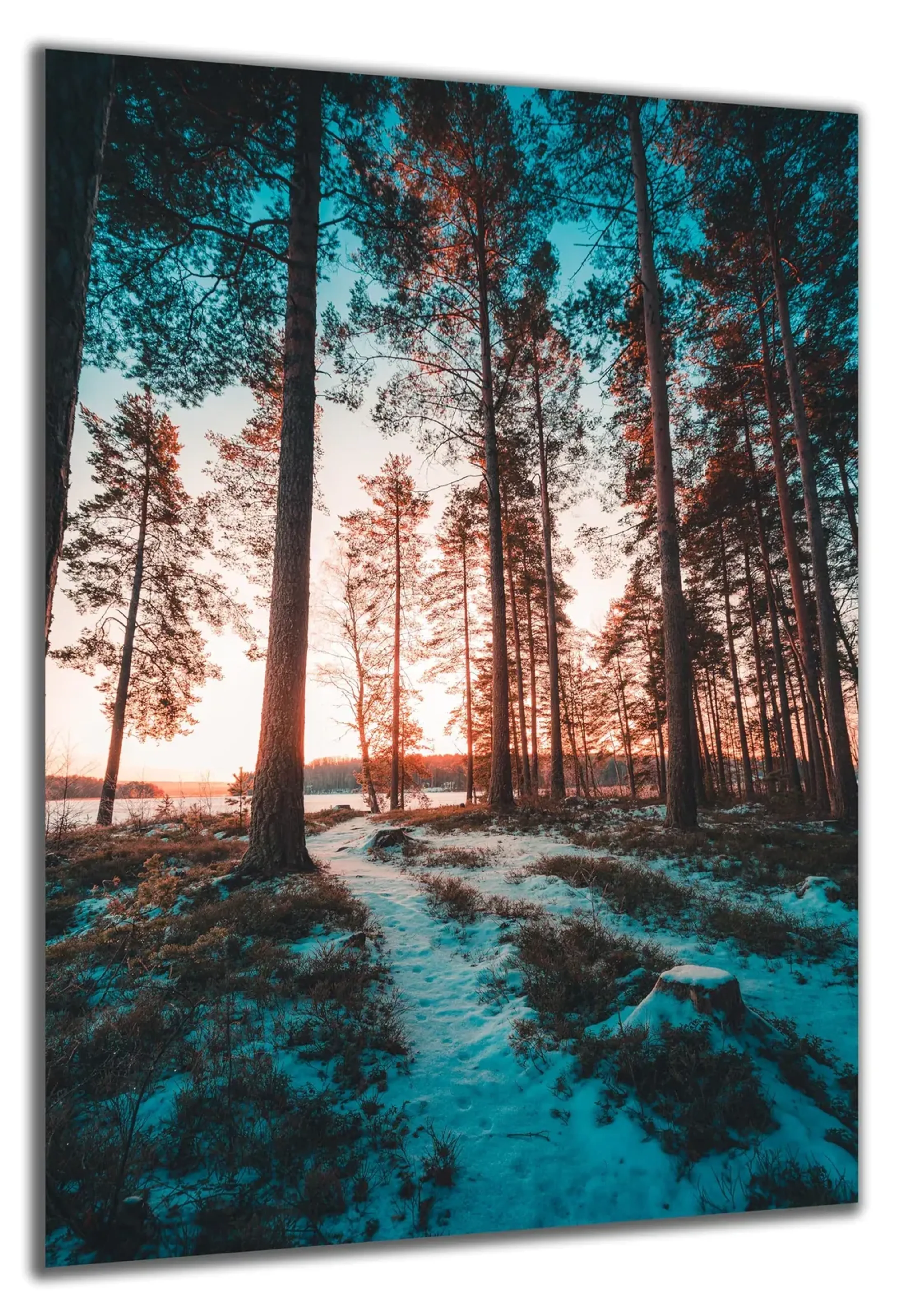 Winterpfad im Abendlicht – Ansicht 5