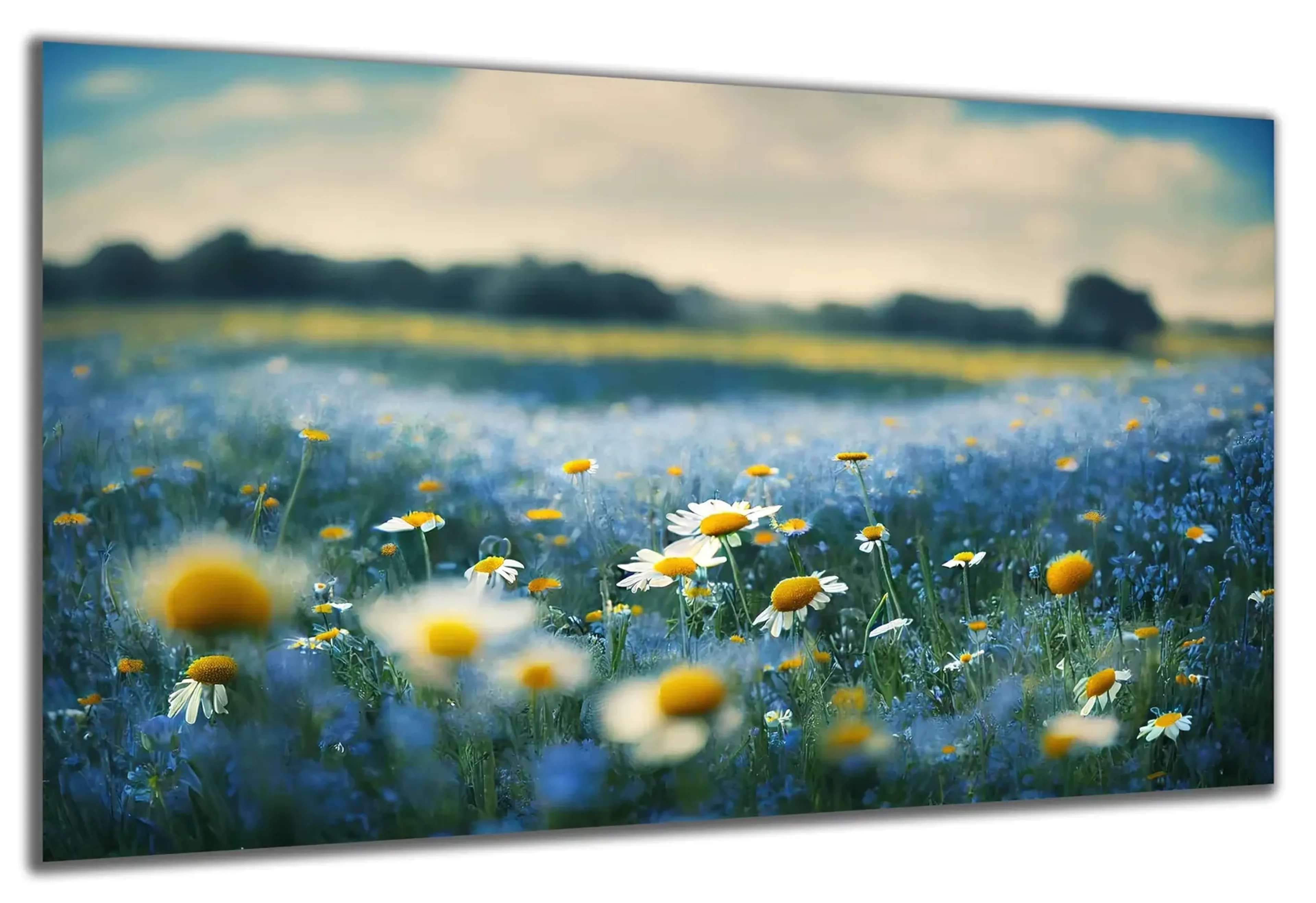 Blaue Blumenwiese – Ansicht 5