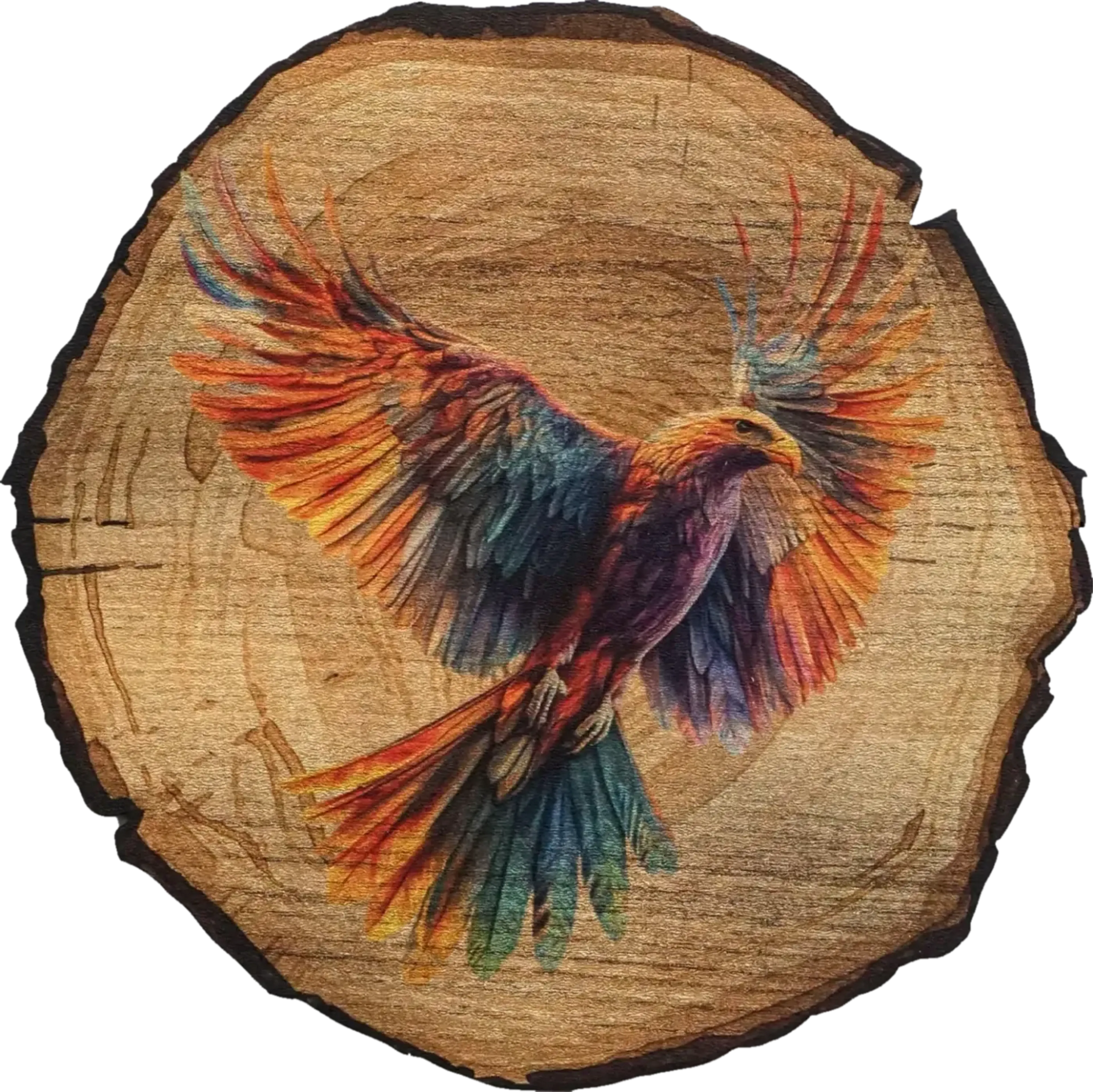 Bunter Vogel mit ausgebreiteten Flügeln und langen Schwanzfedern auf einem Hintergrund in Baumscheibenoptik.