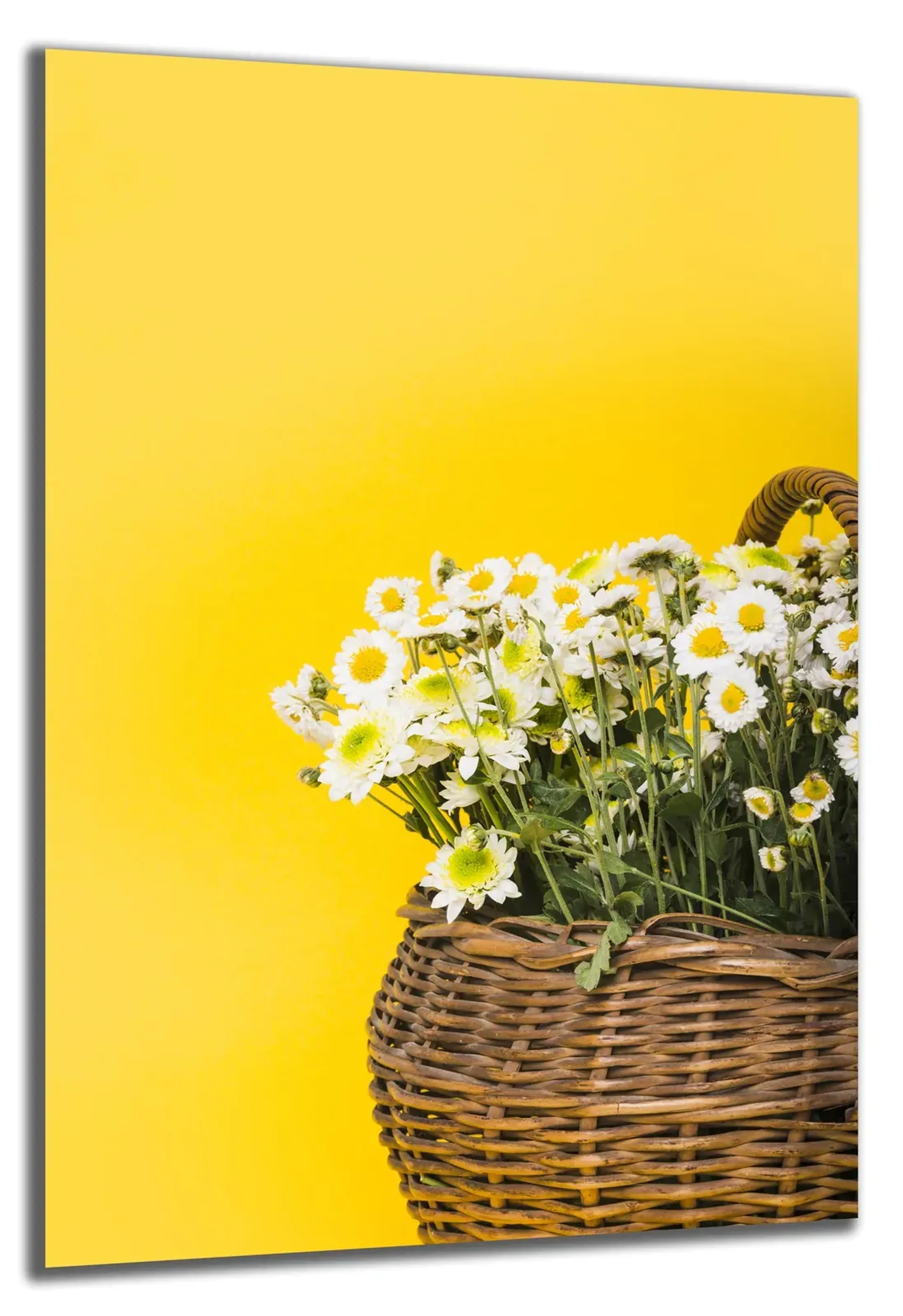 Gänseblümchen im Korb – Ansicht 5