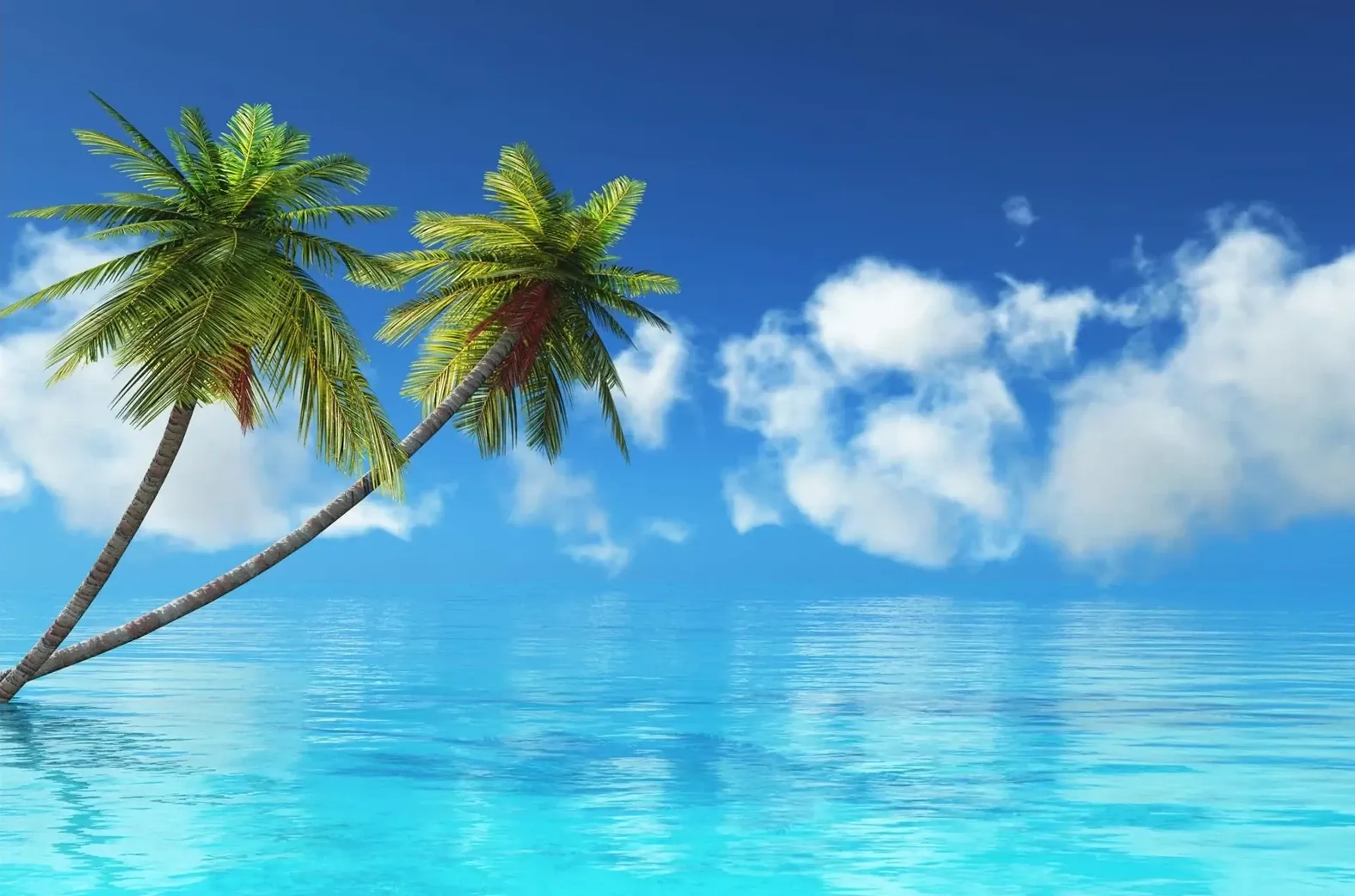 Zwei Palmen neigen sich über türkisblaues Meer unter einem blauen Himmel mit weißen Wolken.