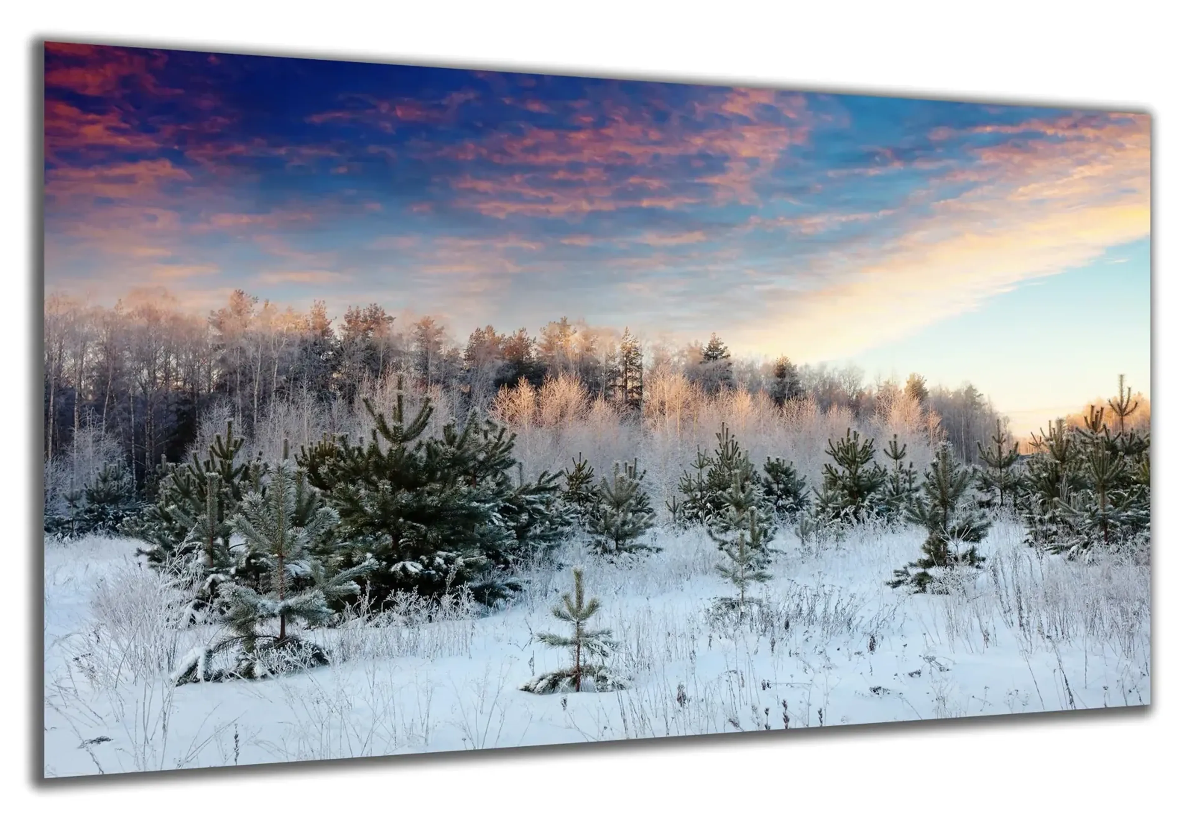 Abendrot über dem Winterwald – Ansicht 5